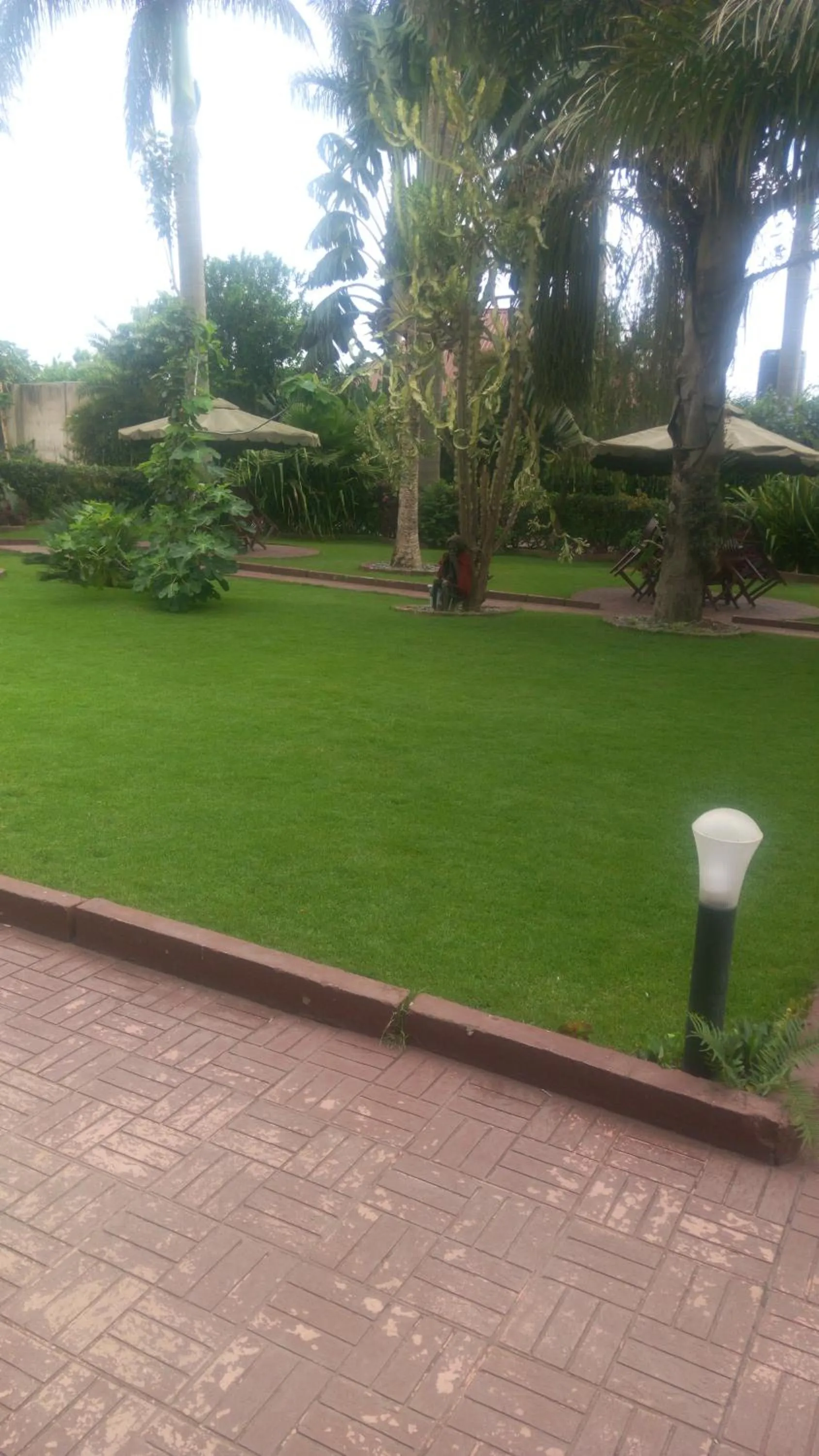 Garden in New Charity Hotel International