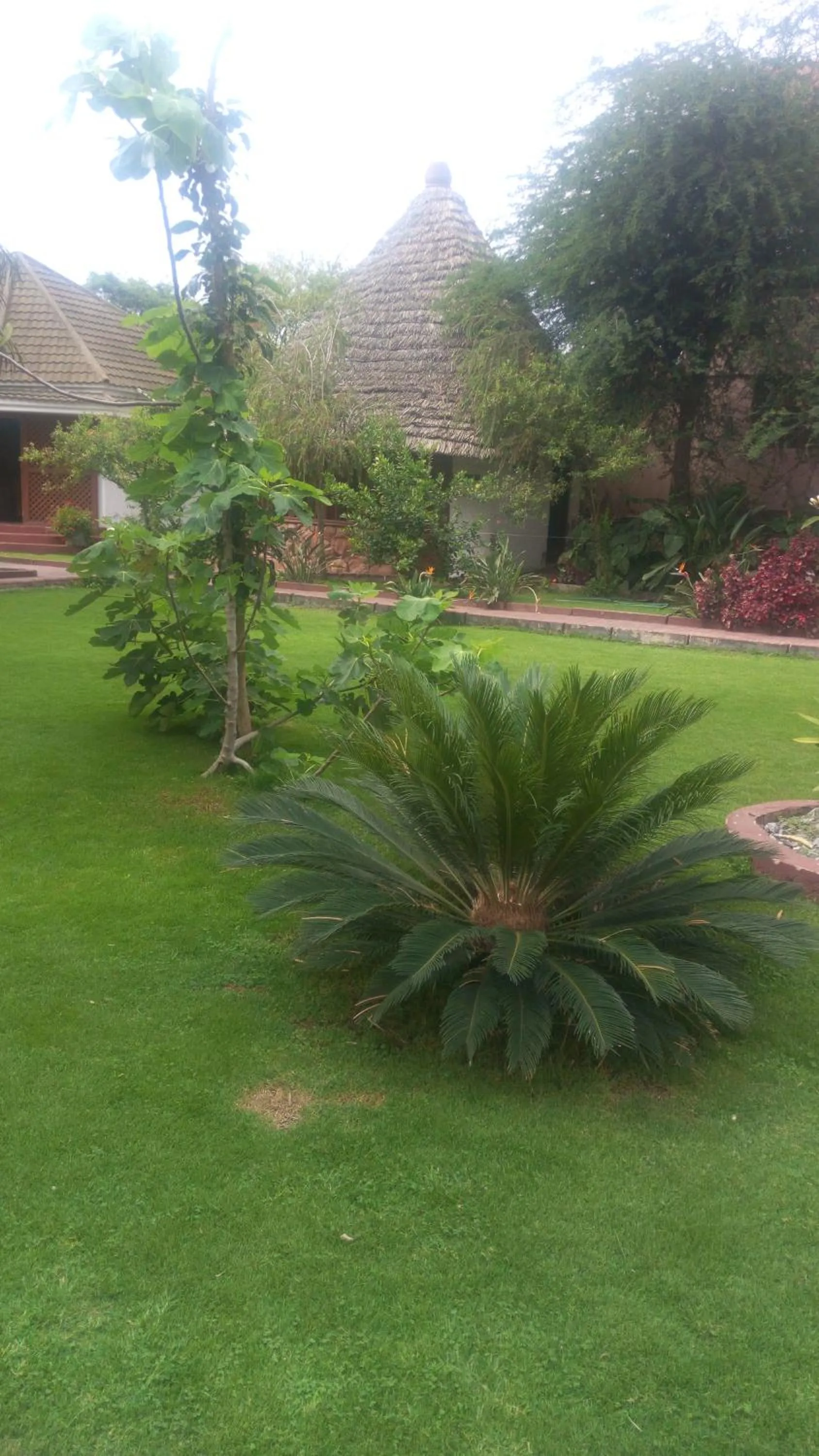 Garden in New Charity Hotel International