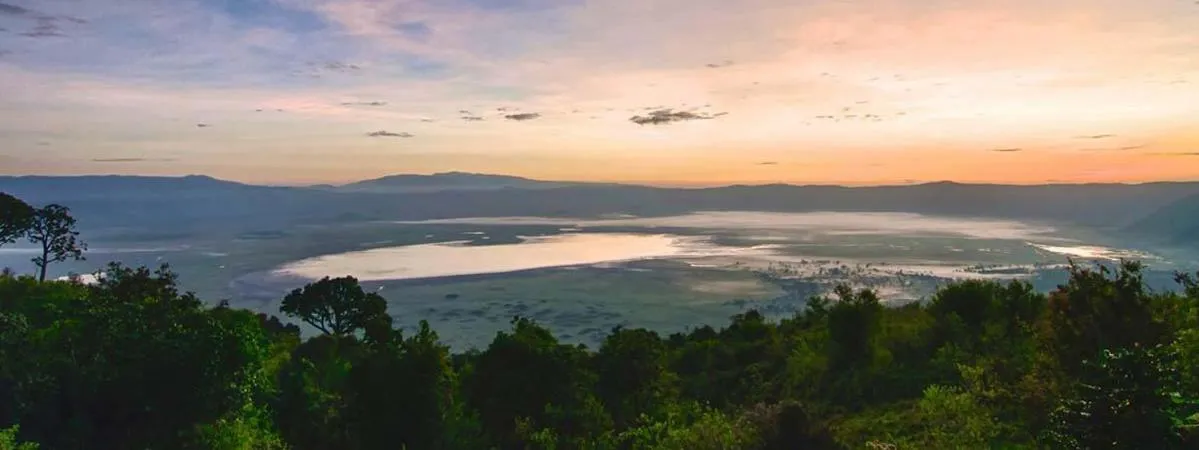 Activities in New Charity Hotel International