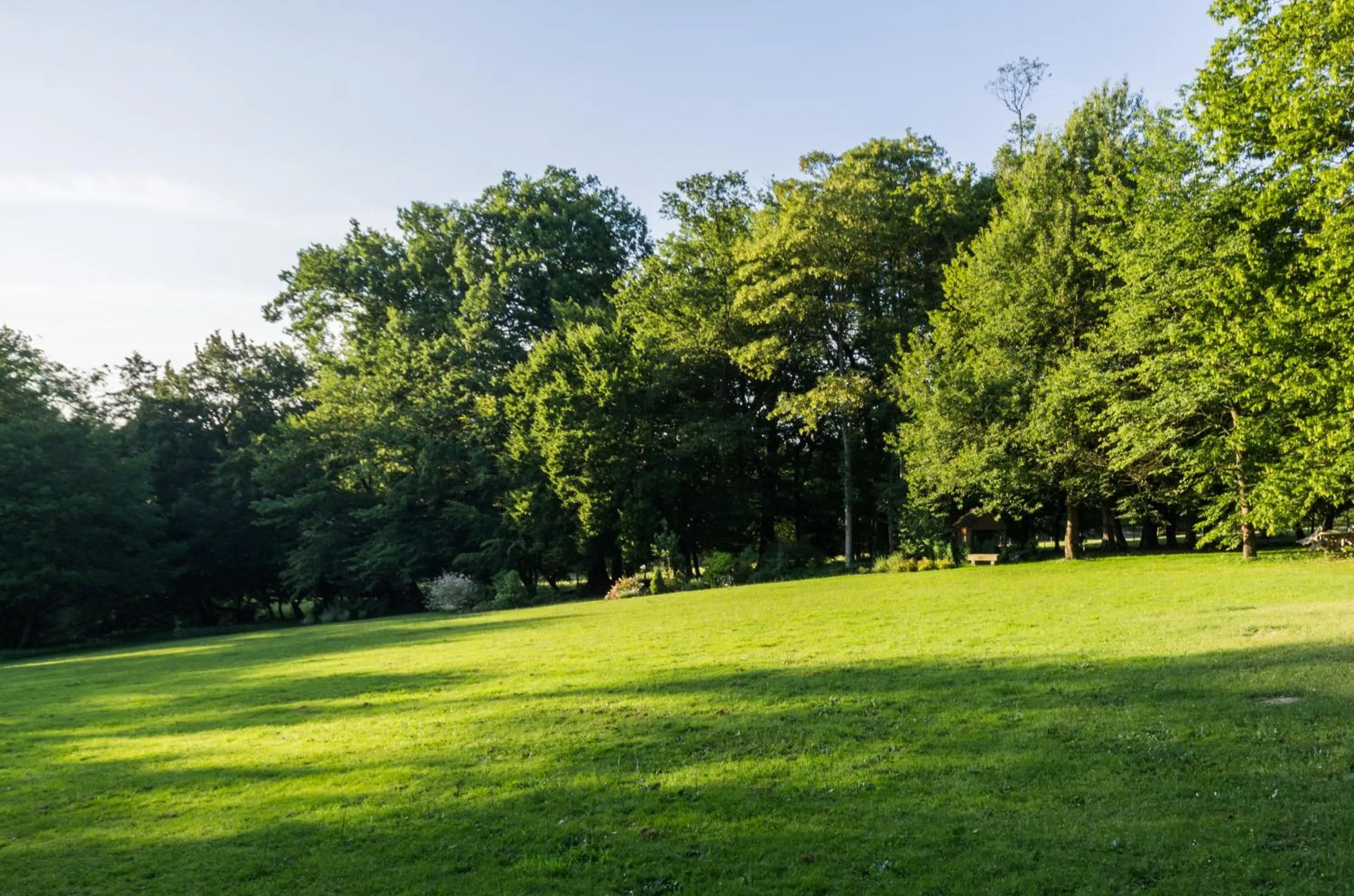 Garden in Le Chateau De La Vierge