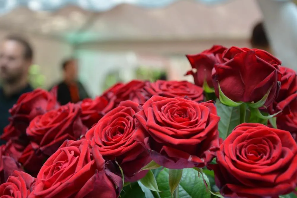 Other in Hotel Kalenborner Höhe