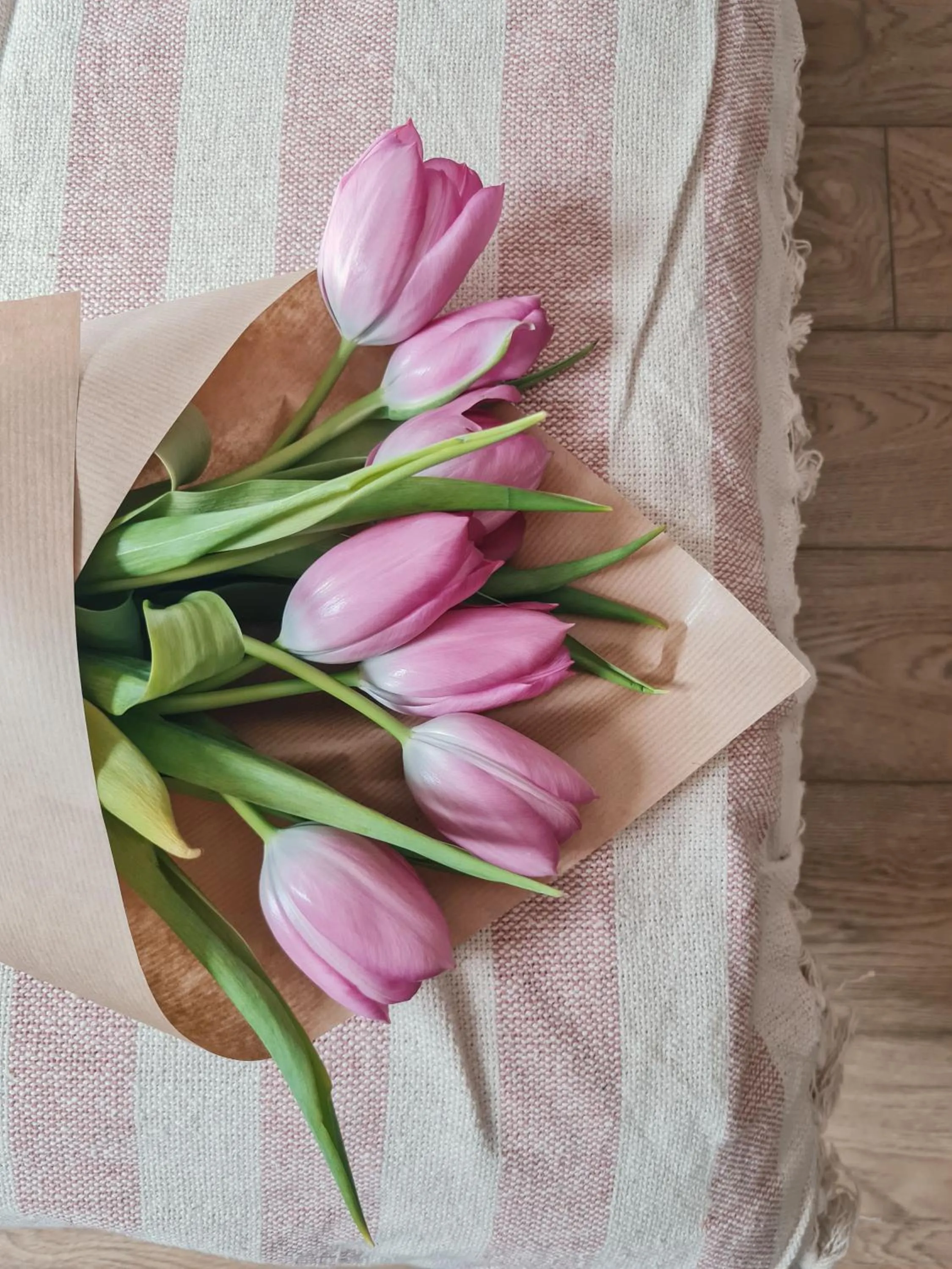 Step to Kotor bay Guesthouse