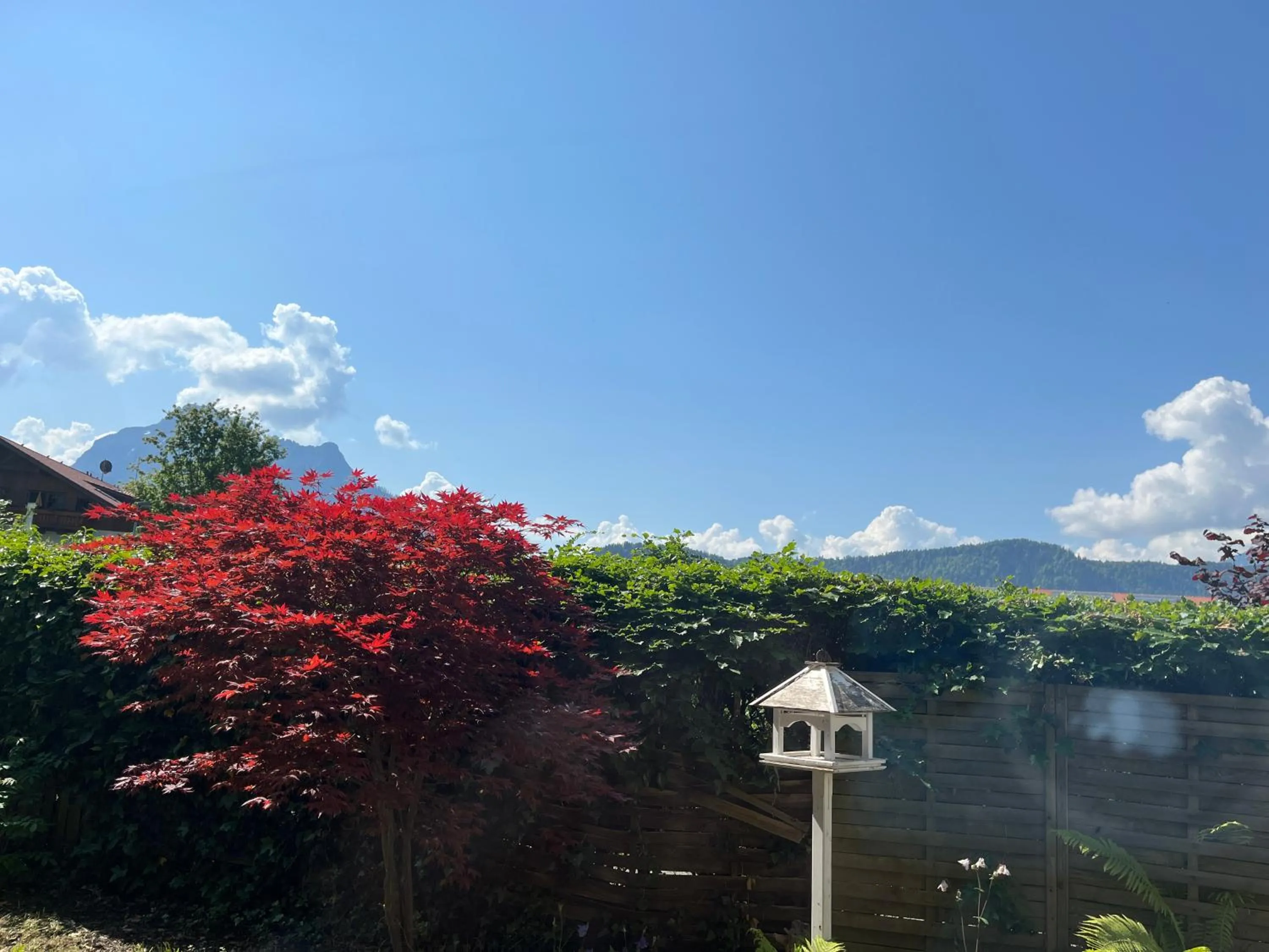 View (from property/room) in Gästehaus Forggensee
