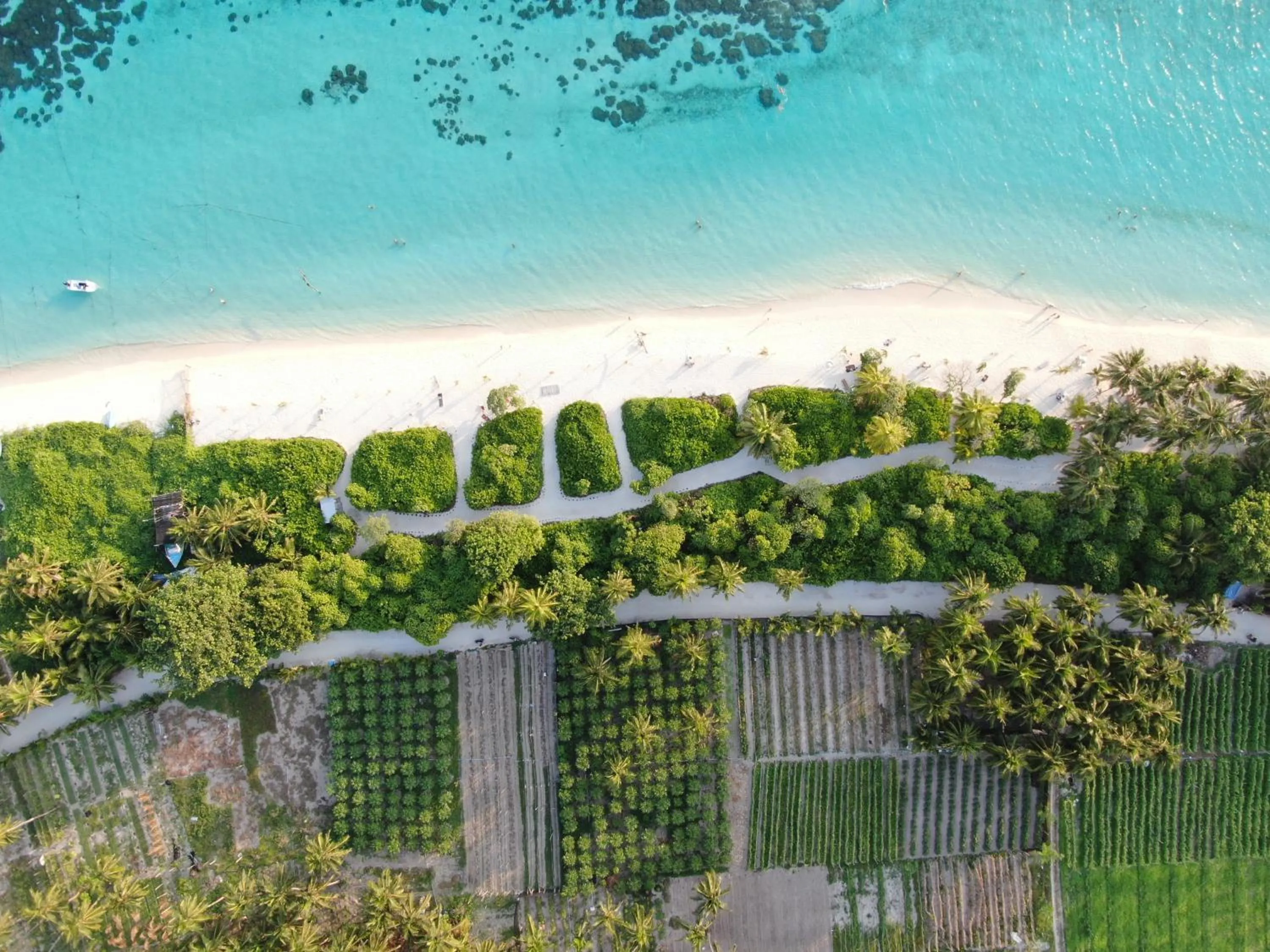 Beach in Thoddoo Island Life