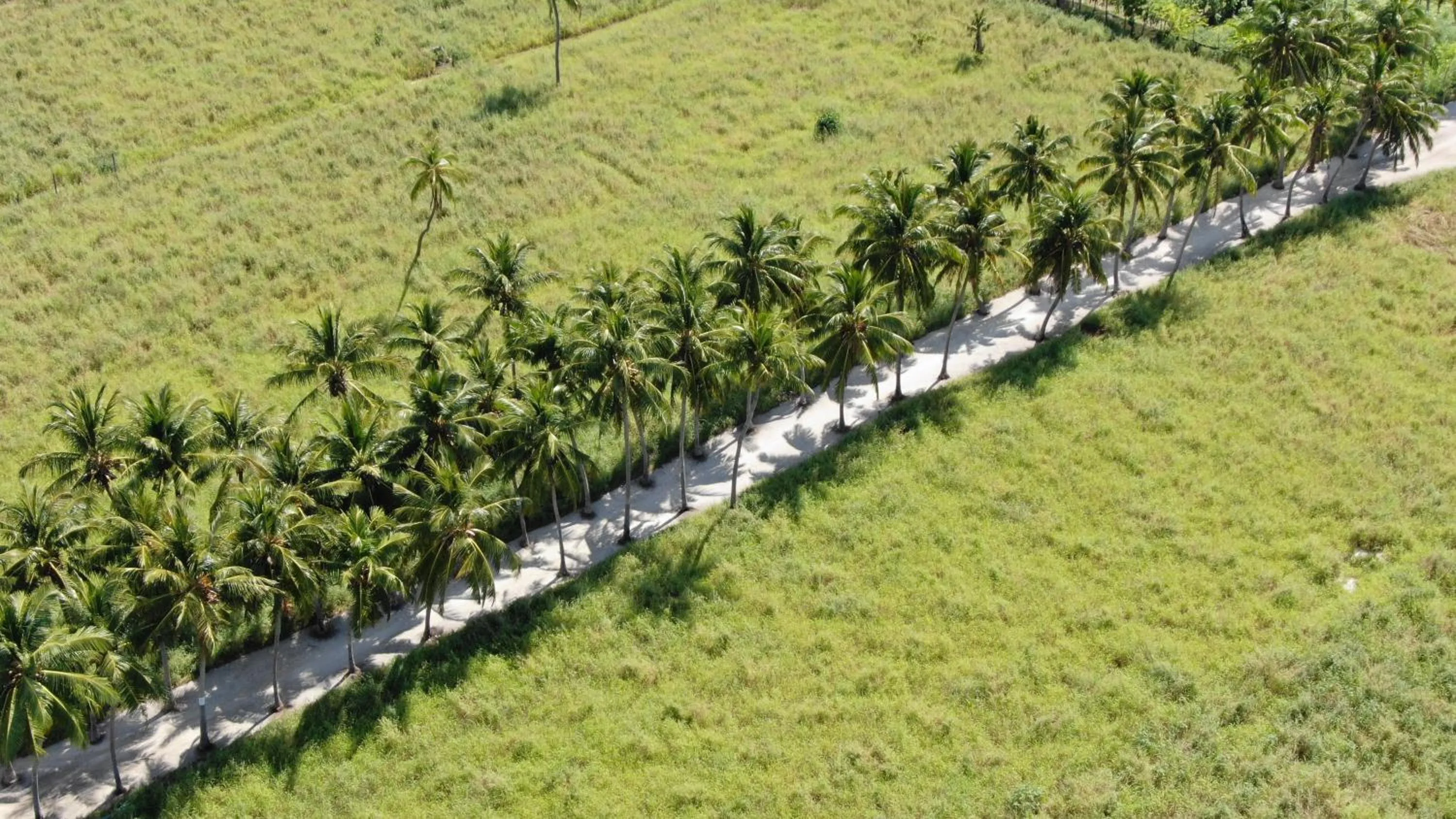 Bird's eye view in Thoddoo Island Life