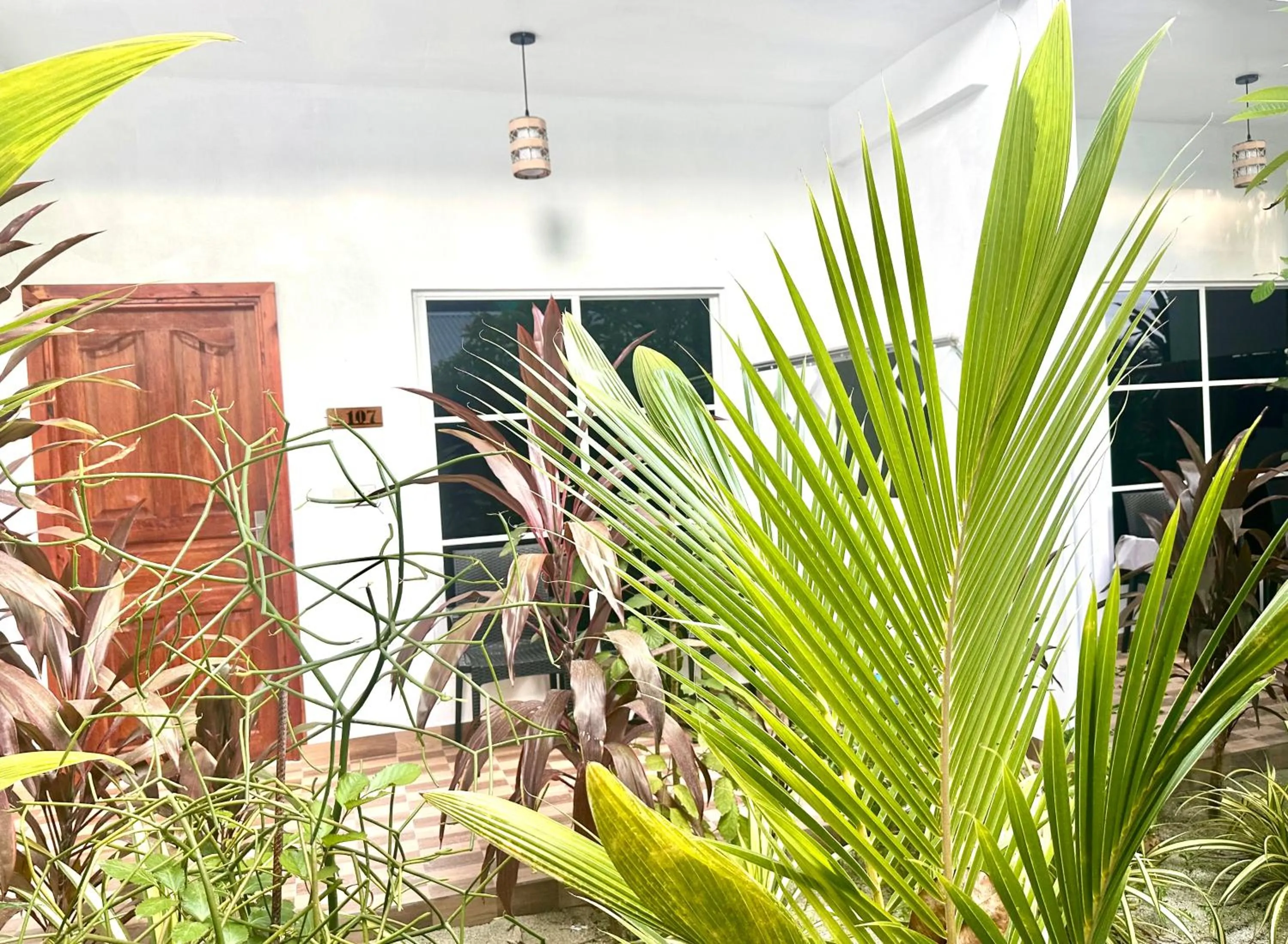 Day in Thoddoo Island Life