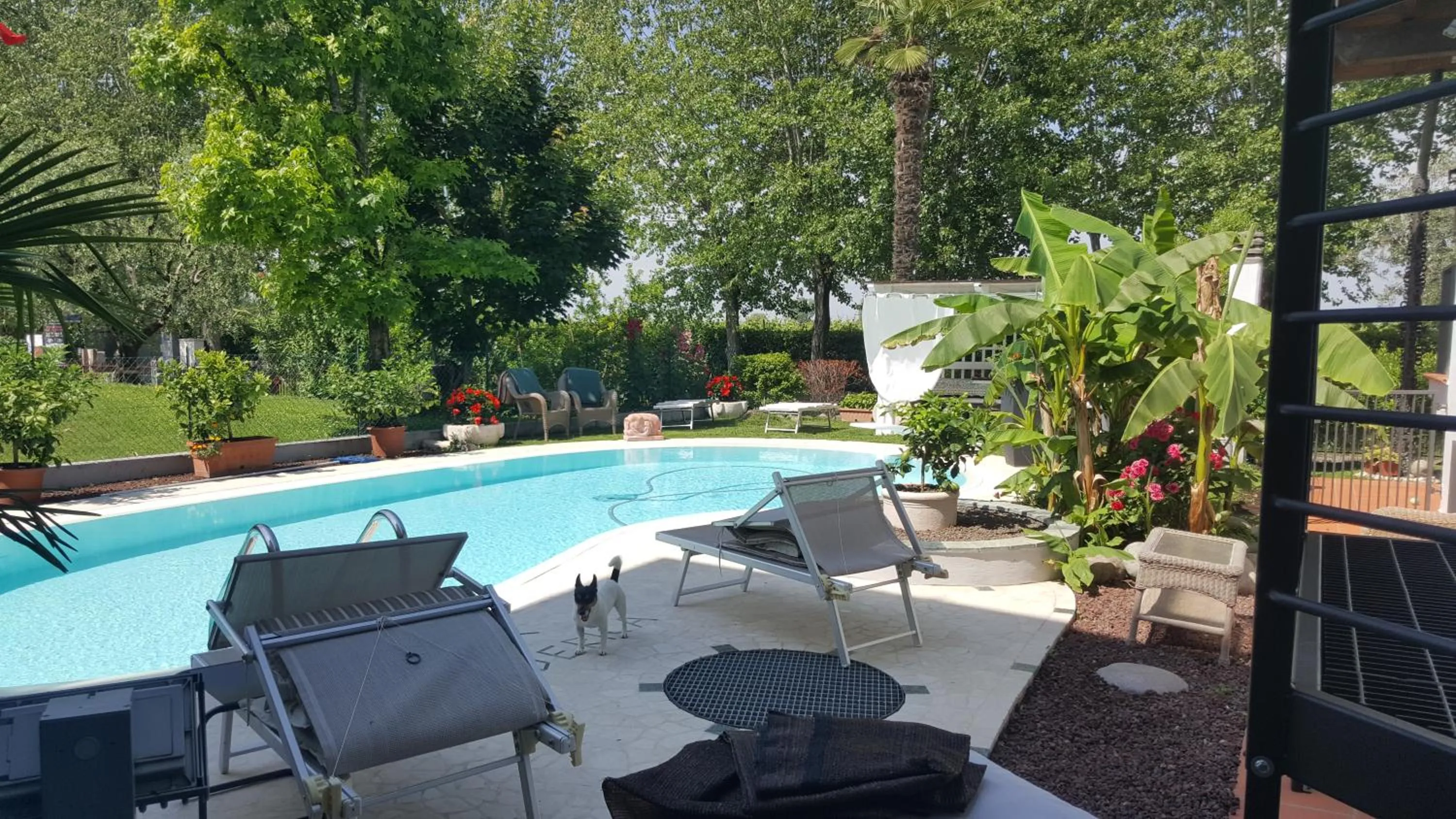 Swimming pool in B&B Casa Gaia - Sirmione