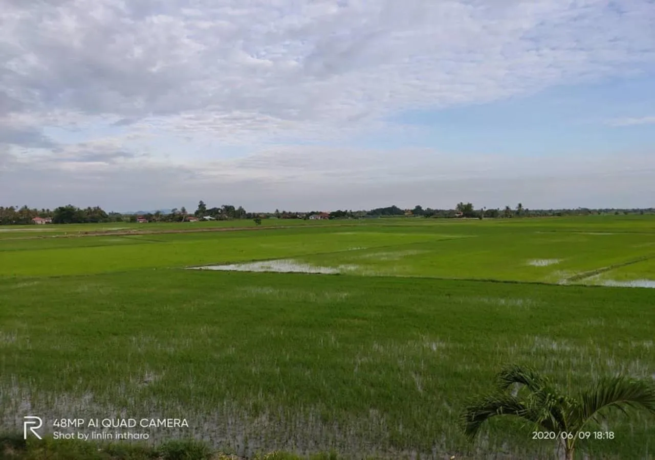 View (from property/room) in Soo Guan Villa