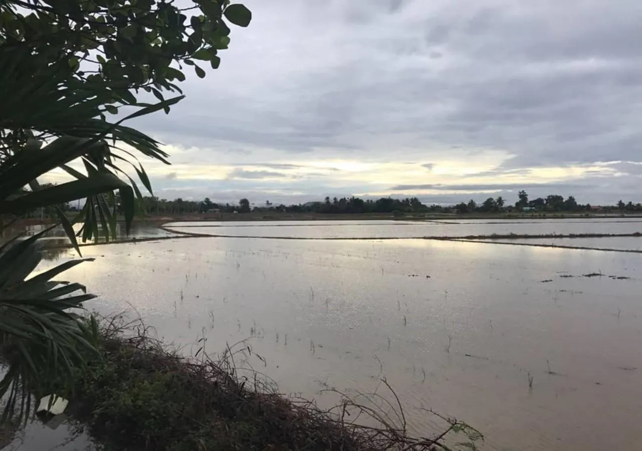 View (from property/room) in Soo Guan Villa