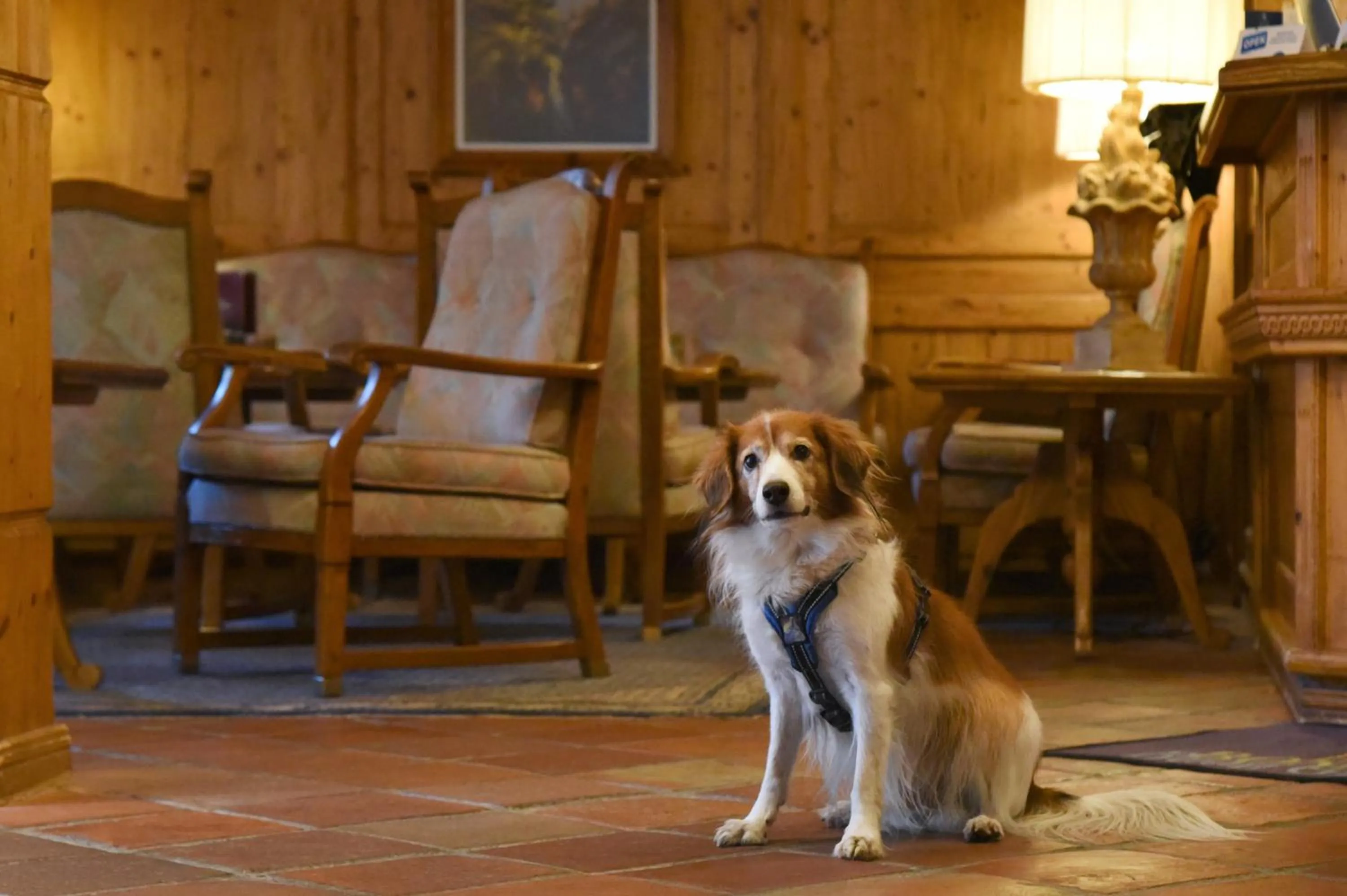 Other in Hotel Alpenroyal