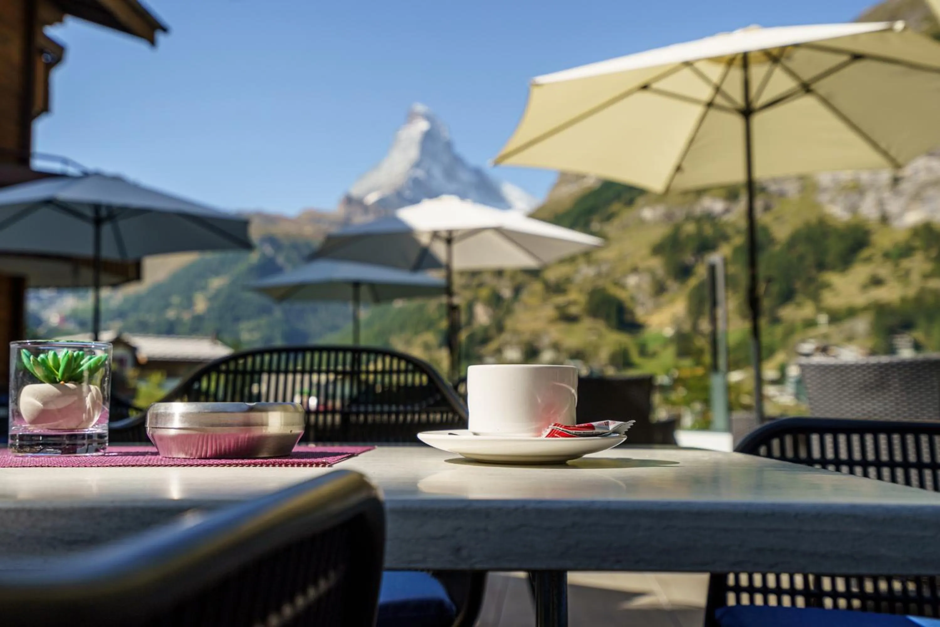 Balcony/Terrace in Hotel Alpenroyal