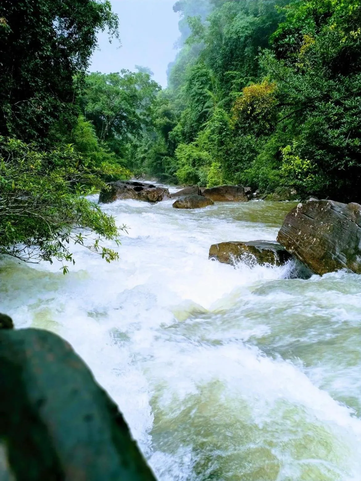 Natural landscape in Kuba Bungalows