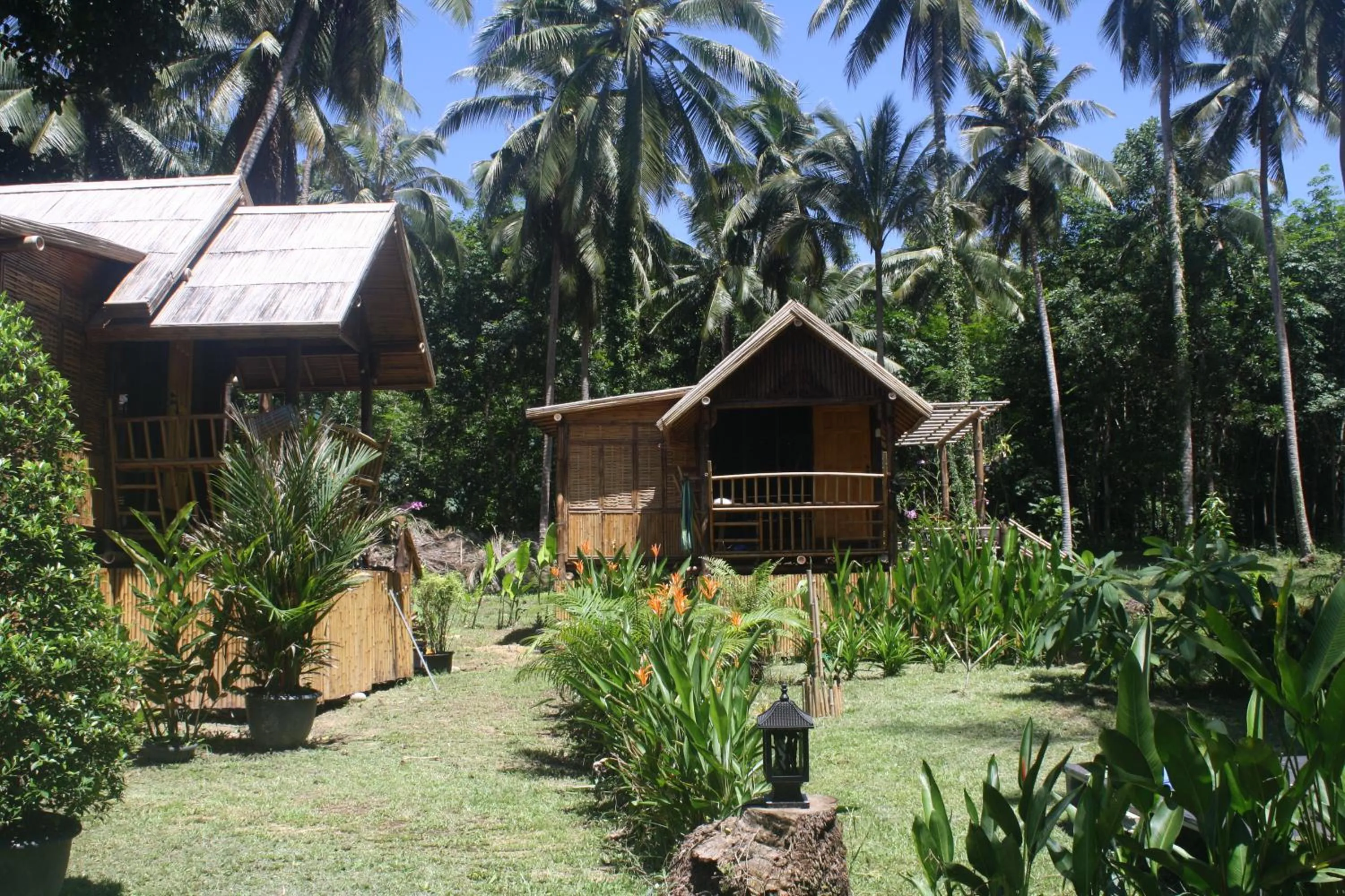 Garden view in Kuba Bungalows