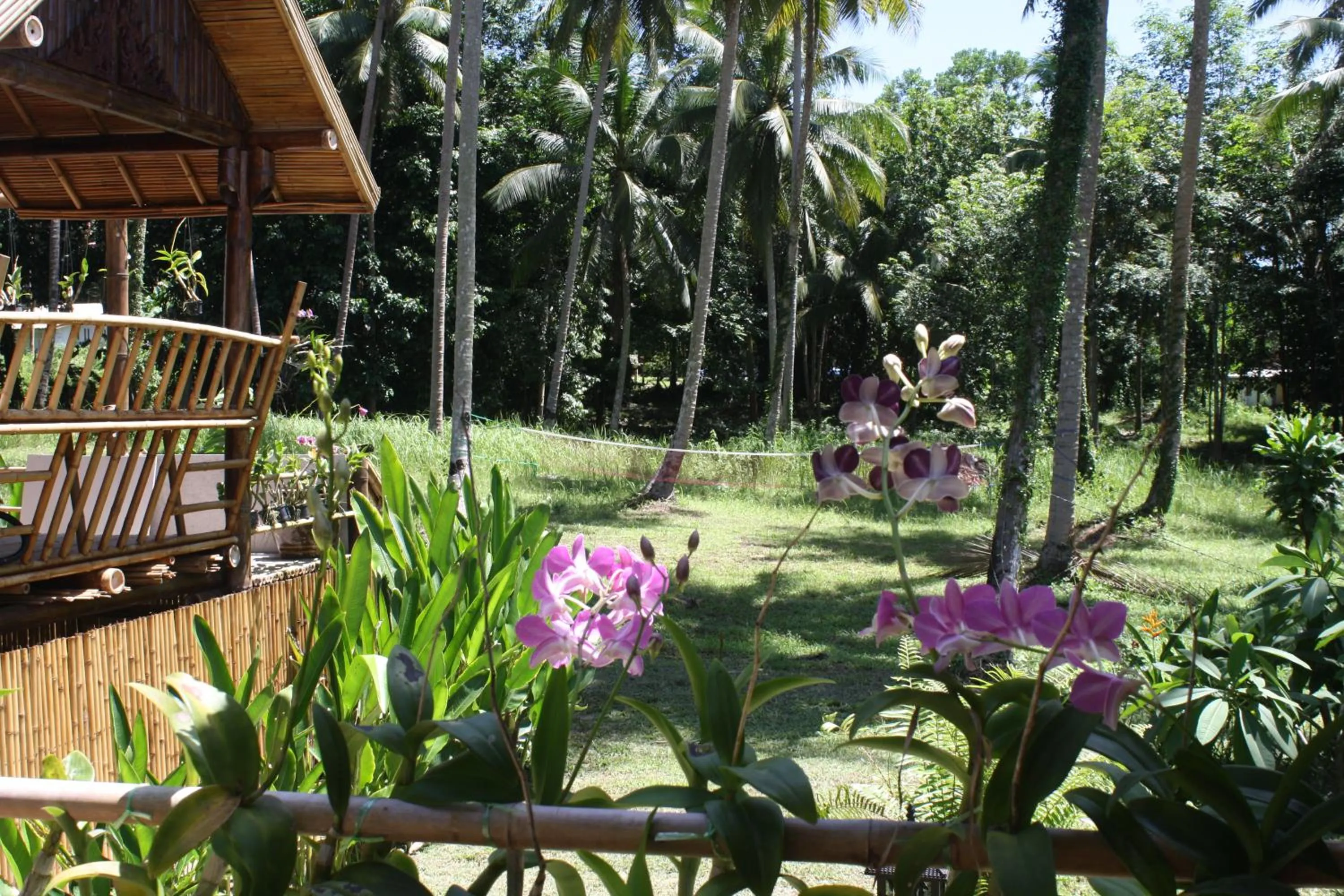 Garden view in Kuba Bungalows