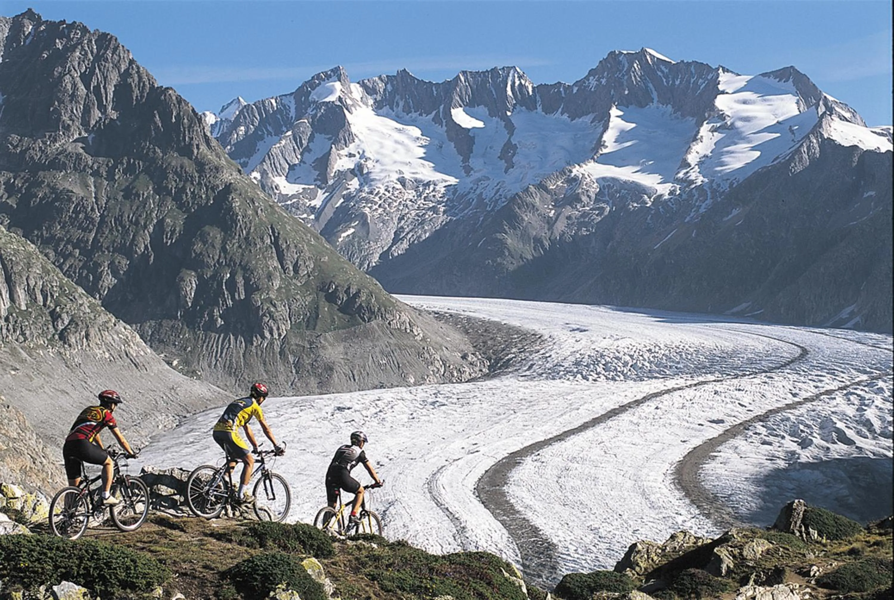 Spring in Serviced Apartments Wallis