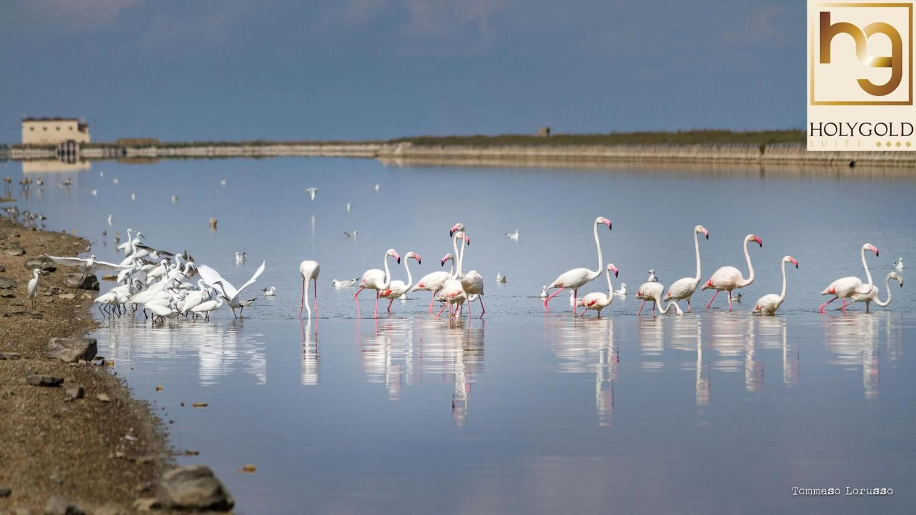 Natural landscape in HOLYGOLD Suite ****