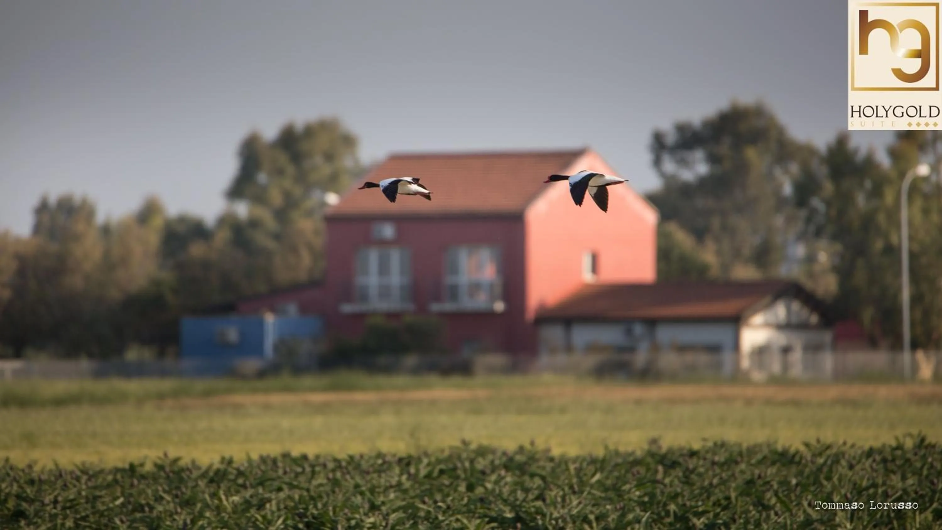Natural landscape in HOLYGOLD Suite ****