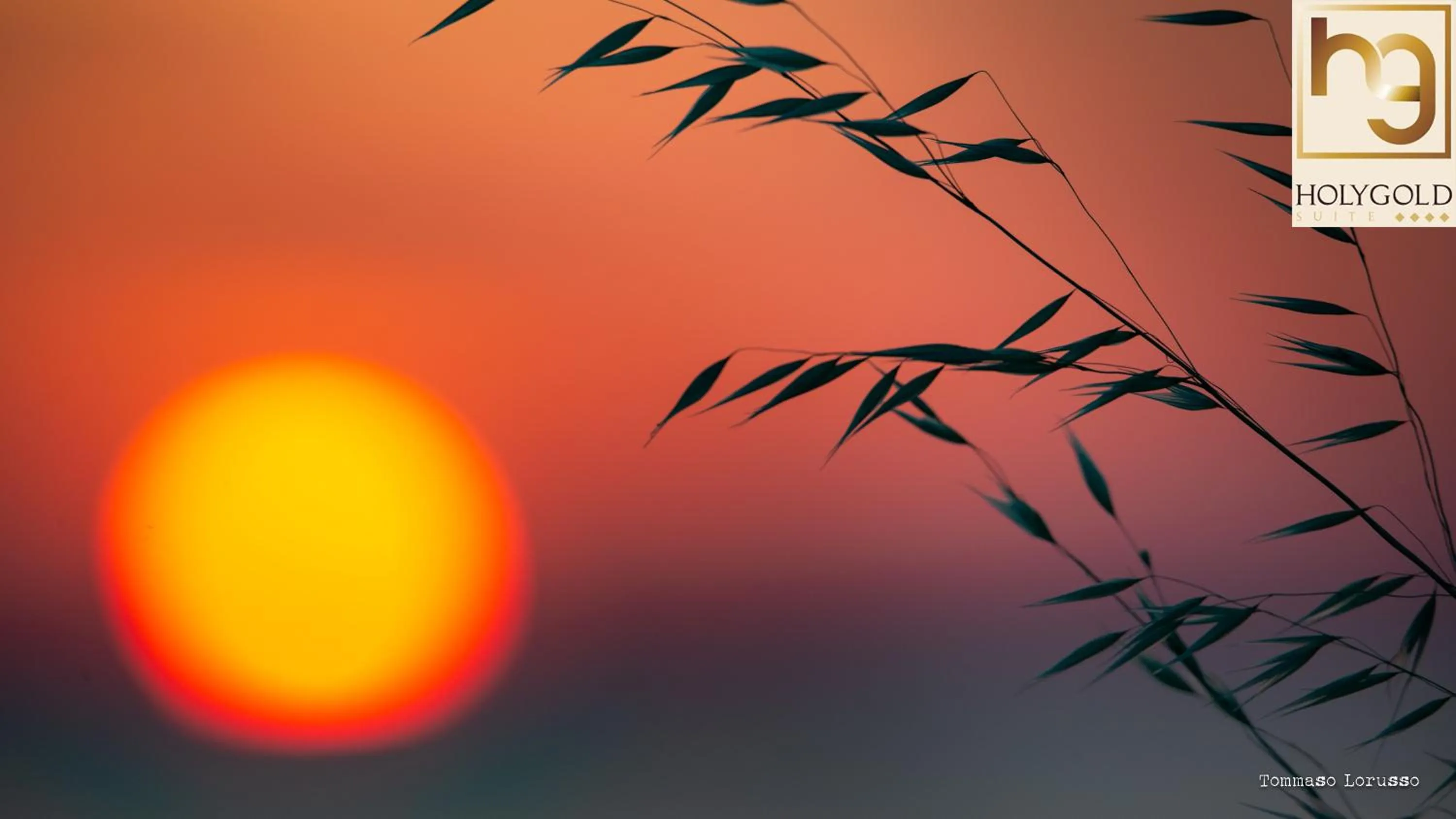 Natural landscape in HOLYGOLD Suite ****