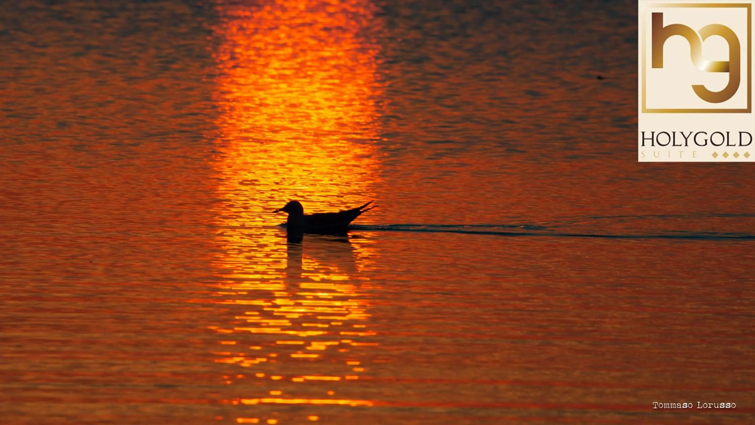 Natural landscape in HOLYGOLD Suite ****