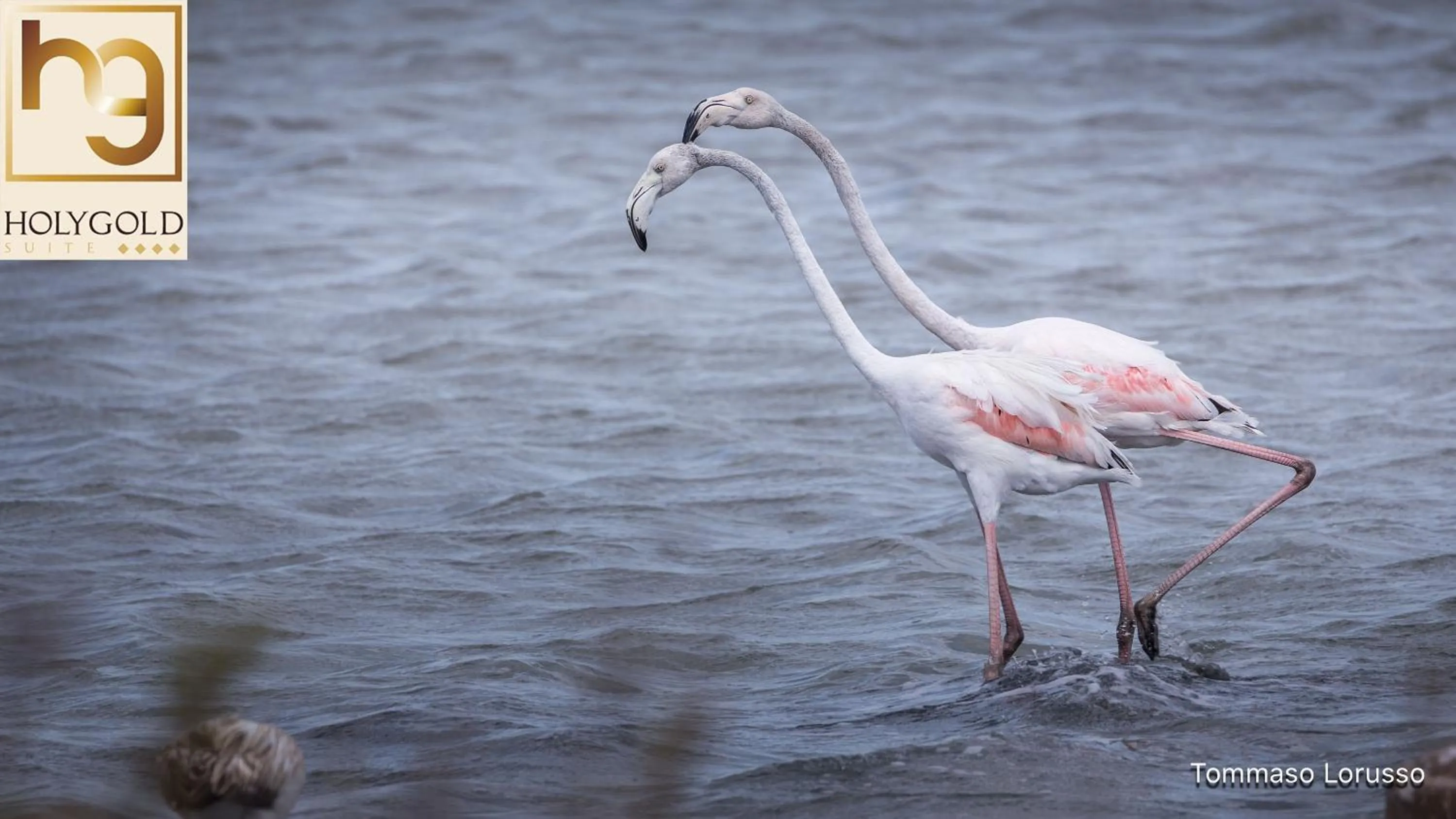 Natural landscape in HOLYGOLD Suite ****