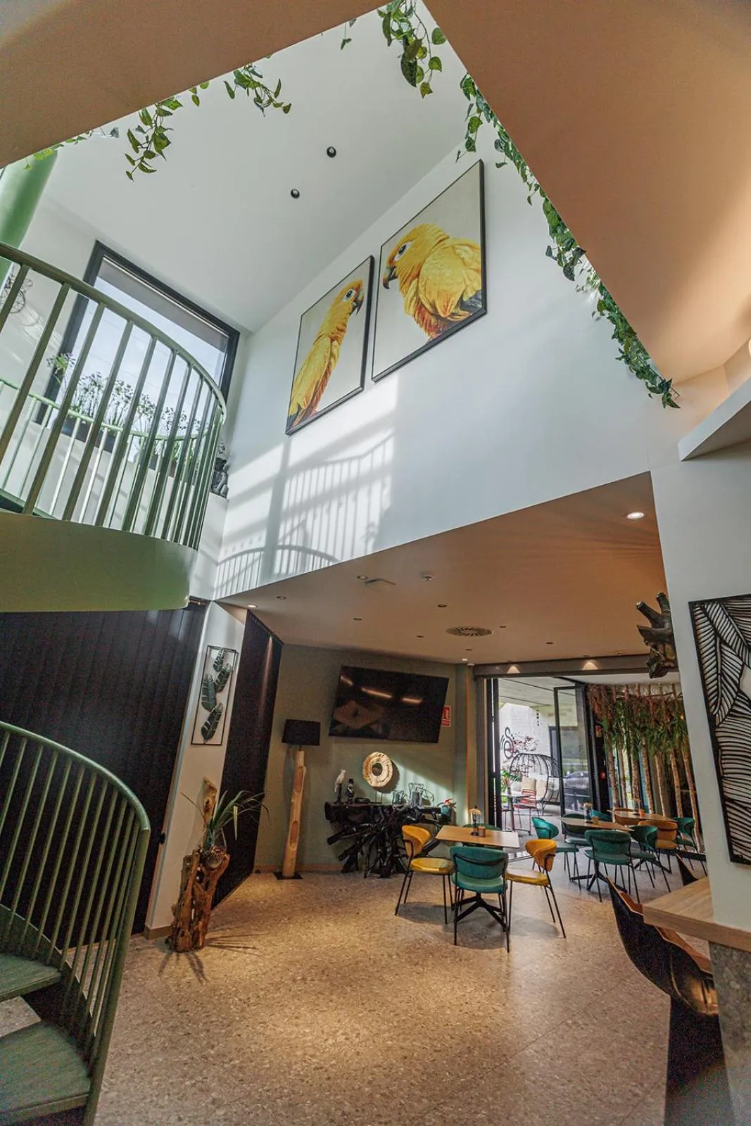 Area and facilities in Hotel Ecos del Sella