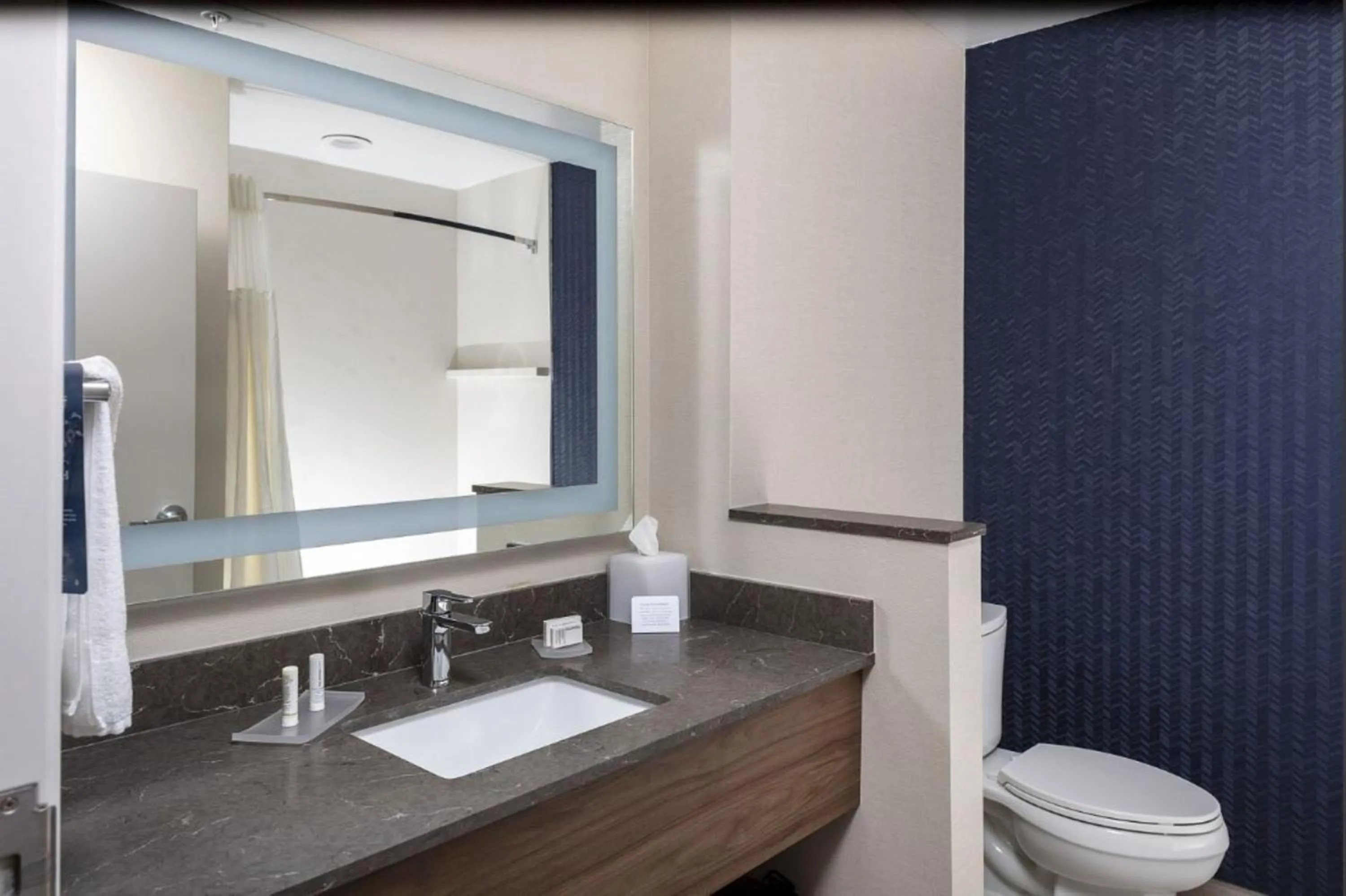 Toilet in Fairfield Inn & Suites Monahans