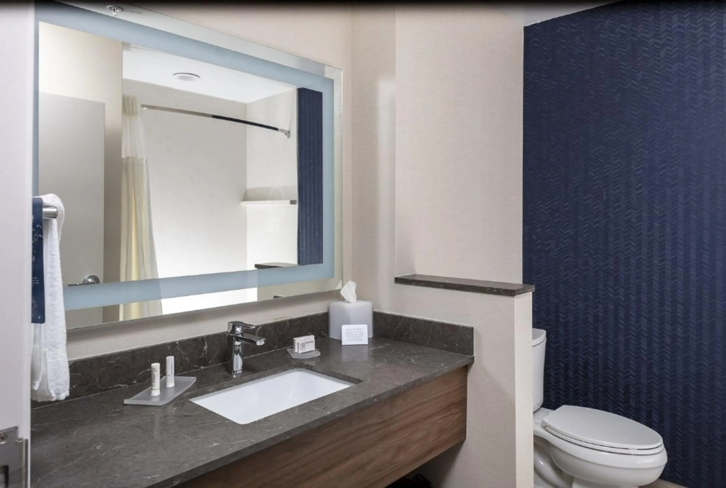 Toilet in Fairfield Inn & Suites Monahans