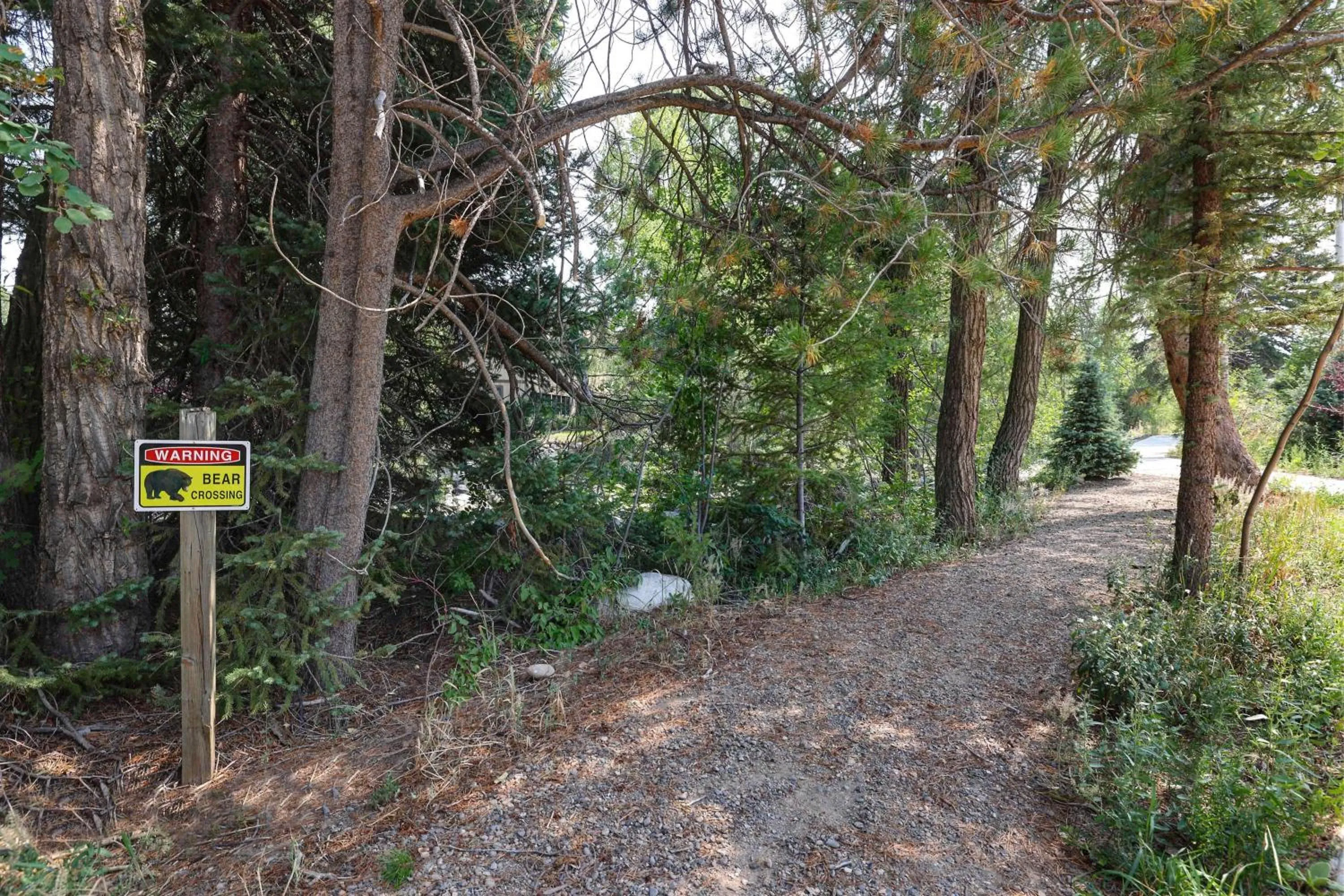 Other in Residence Inn by Marriott Steamboat Springs