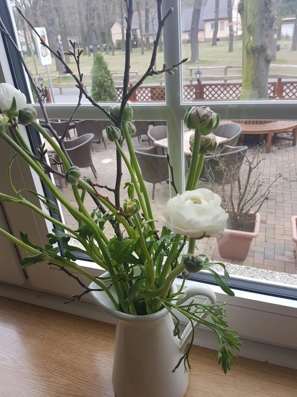 Restaurant/places to eat in Hotel & Gasthaus Zum Eichenkranz