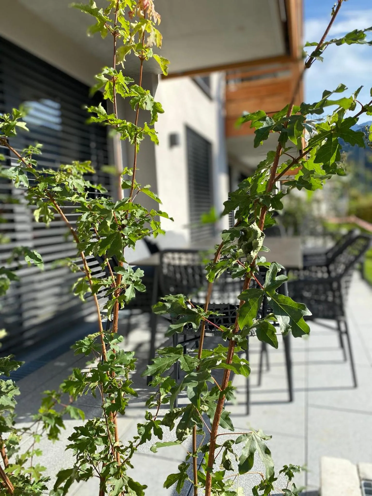Balcony/Terrace in moun10 urlaubswohnen