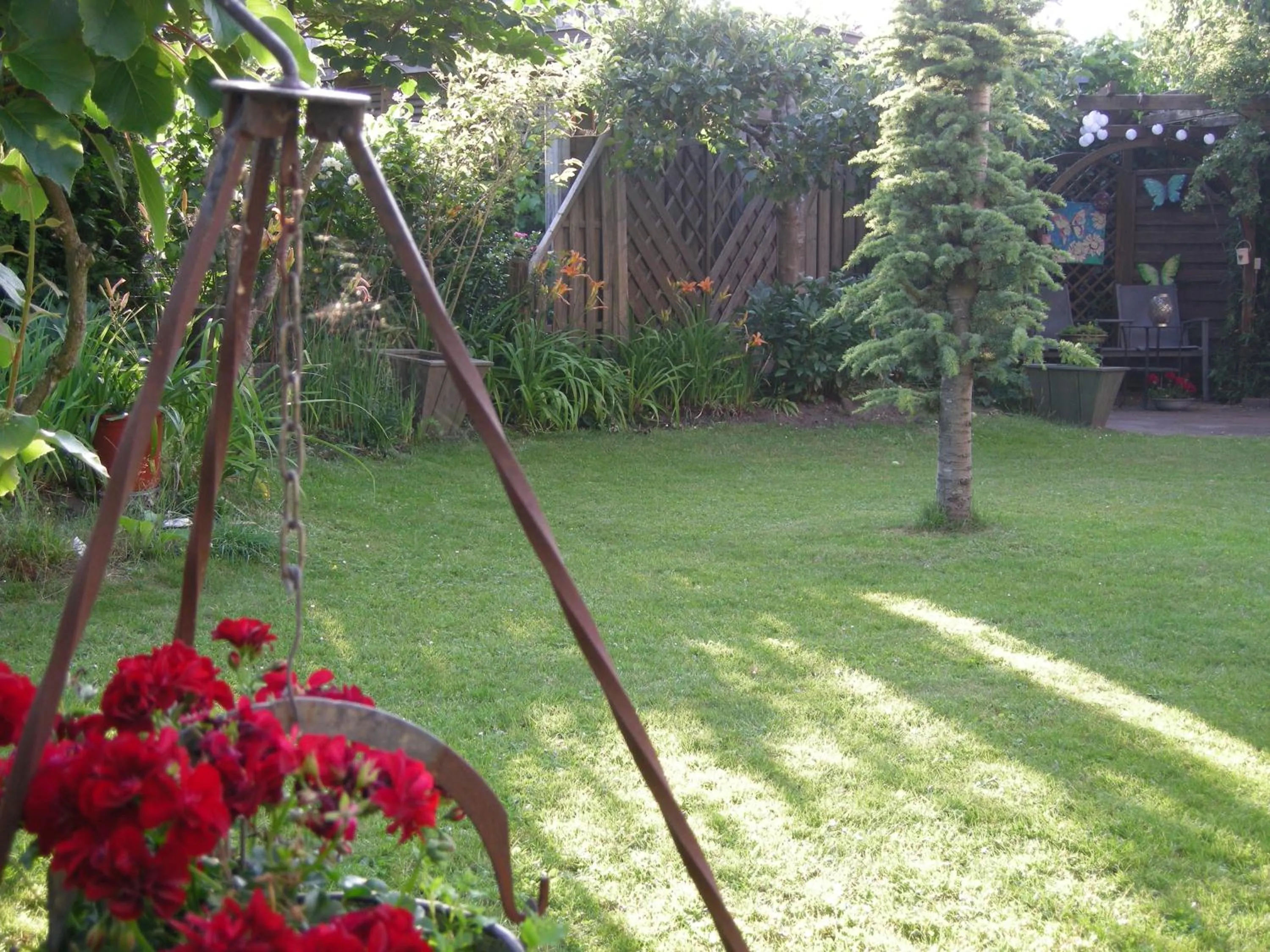 Garden view in B&B overnachting de Margriet