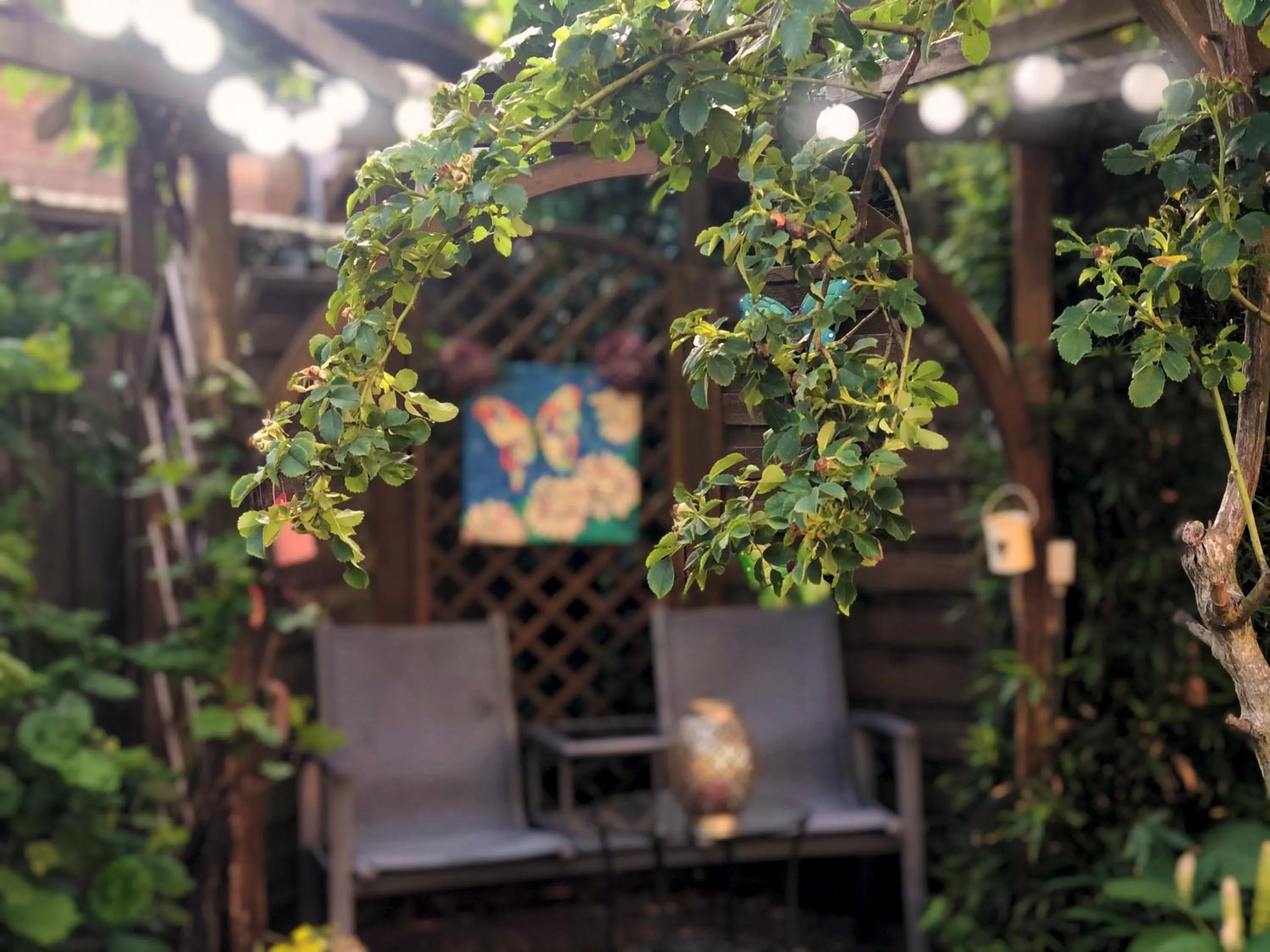 Garden in B&B overnachting de Margriet