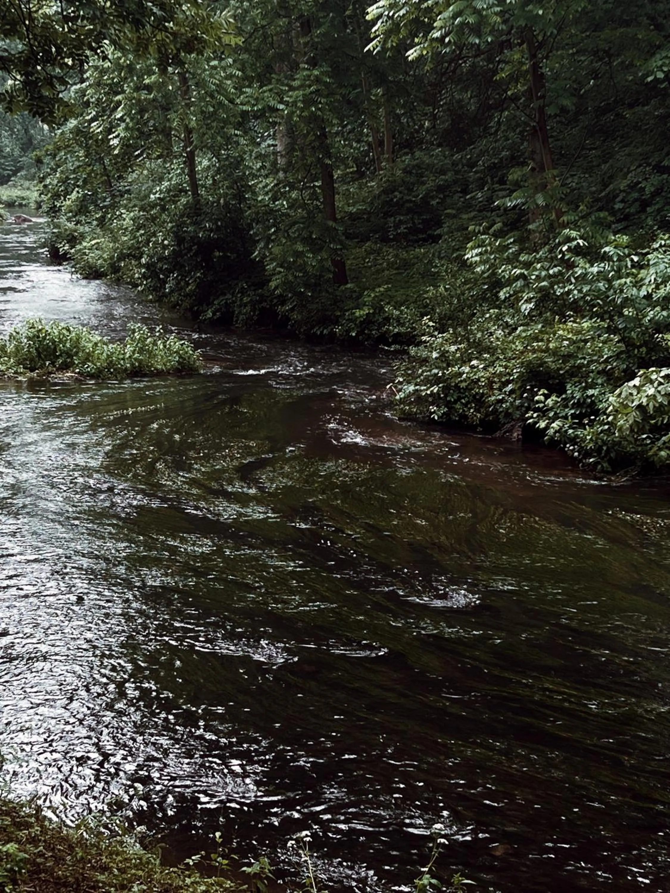 Amberton Green SPA Druskininkai