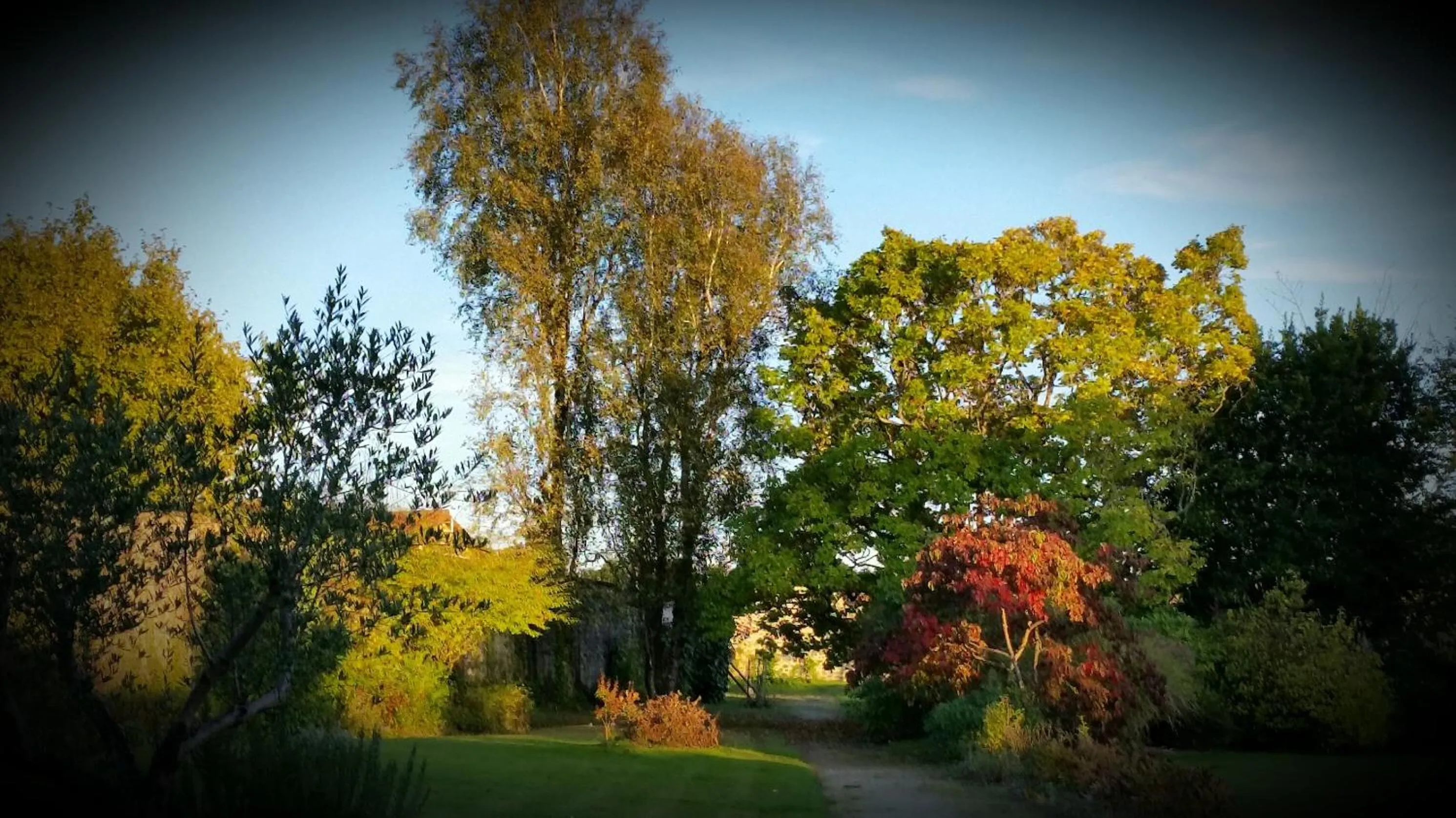 Autumn in Le Clos de La Muse