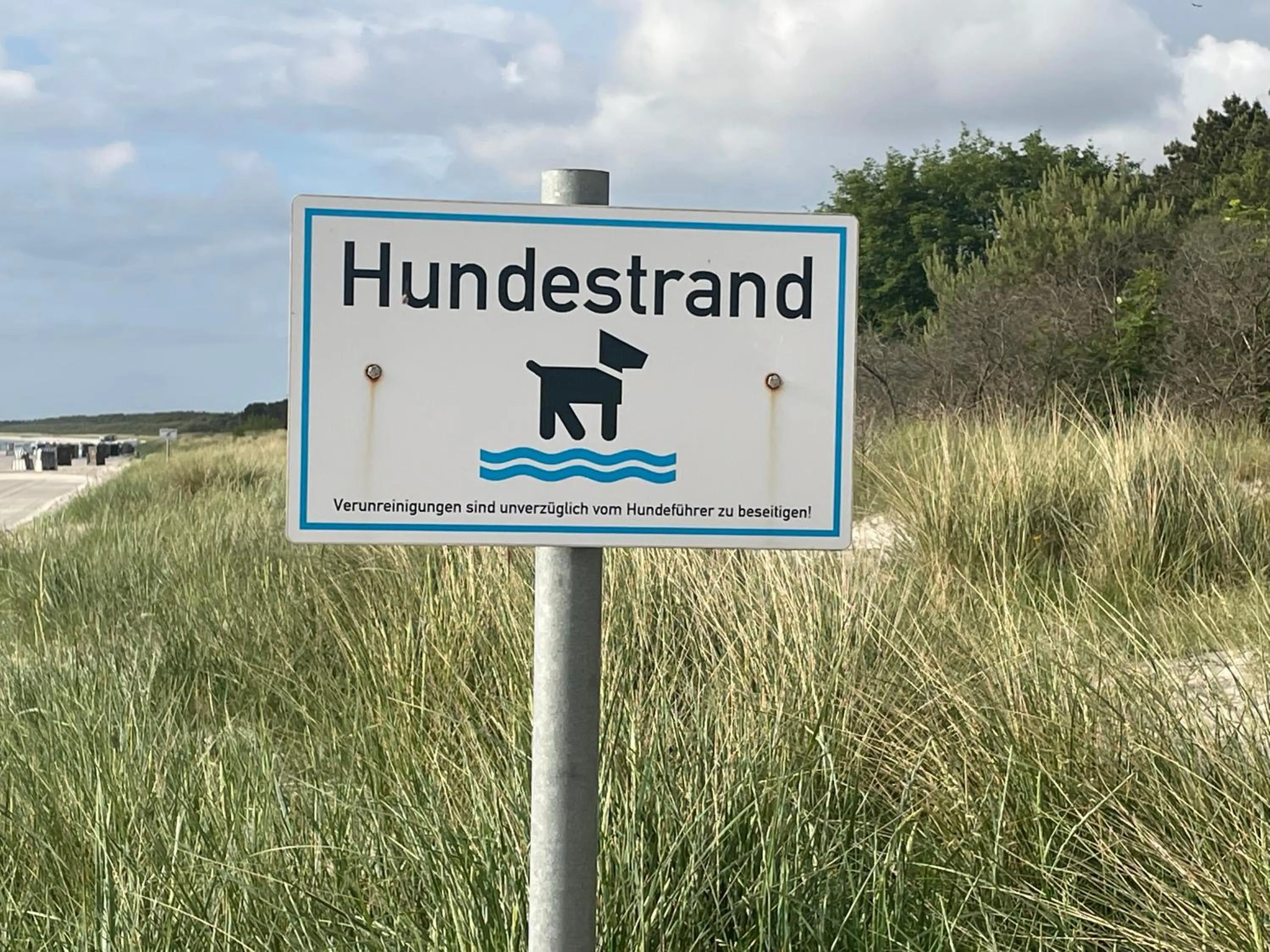 Beach in Aquamaris Strandresidenz Rügen