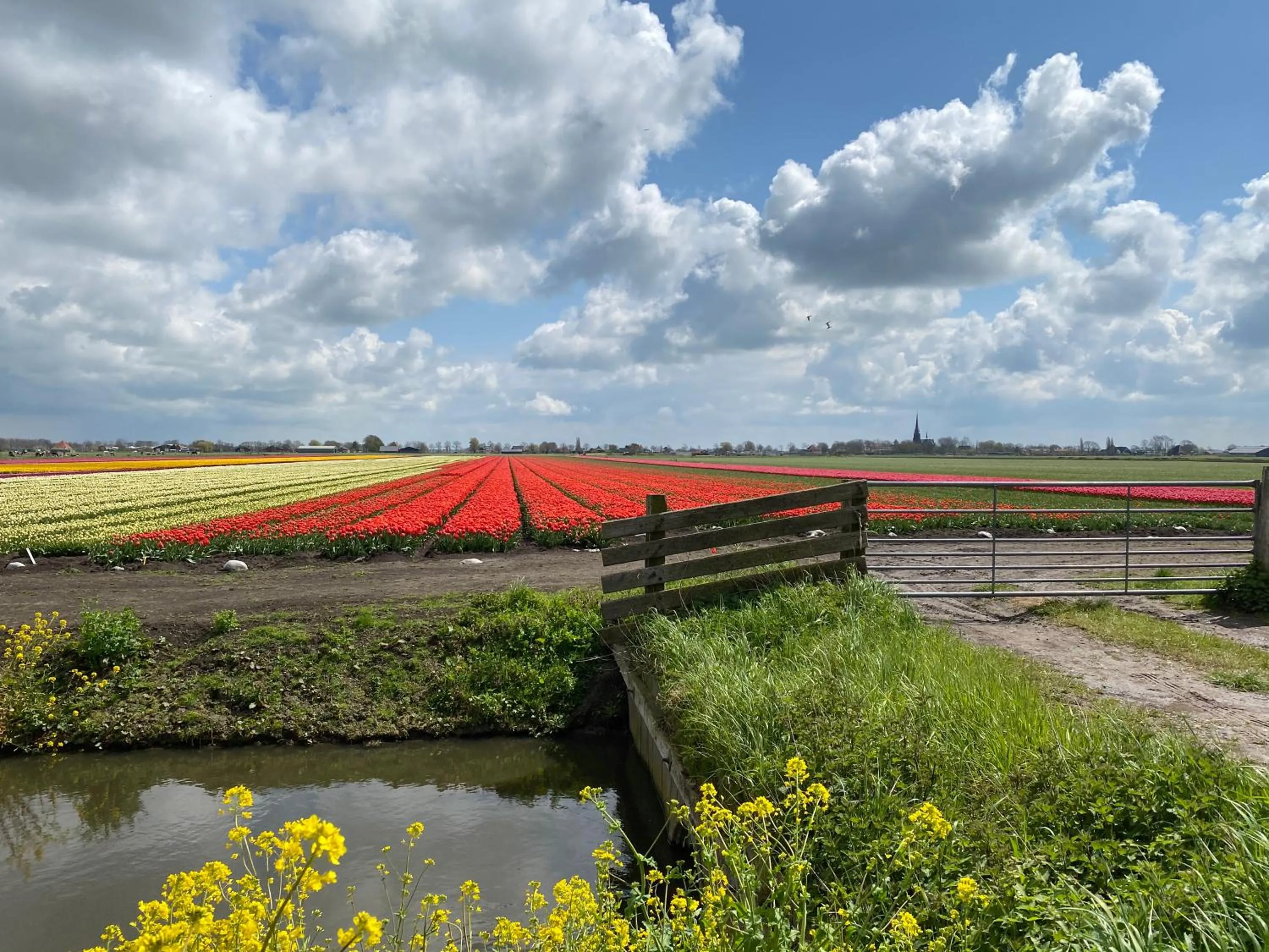 Oude Postkantoor de Rijp