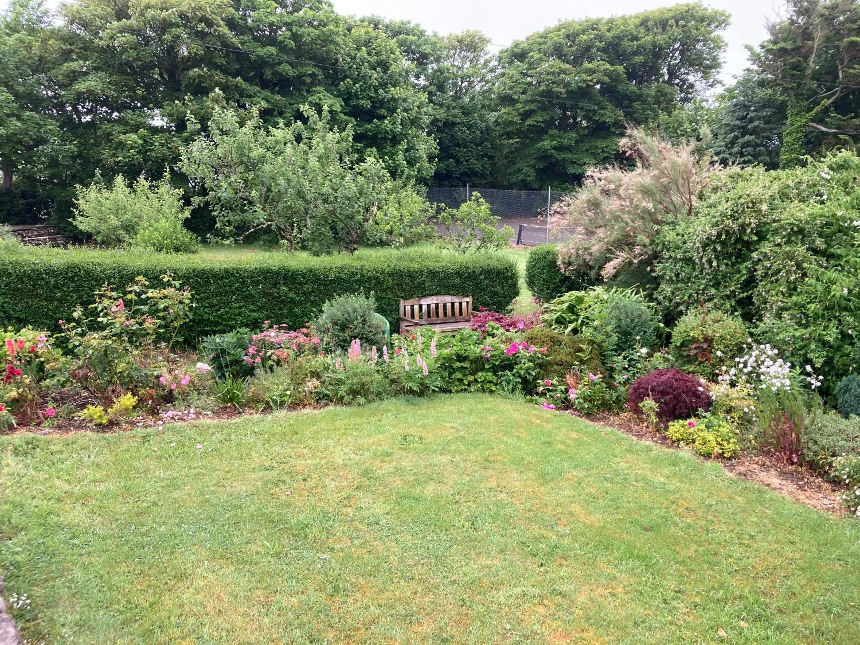 Garden view in Dromcloc House