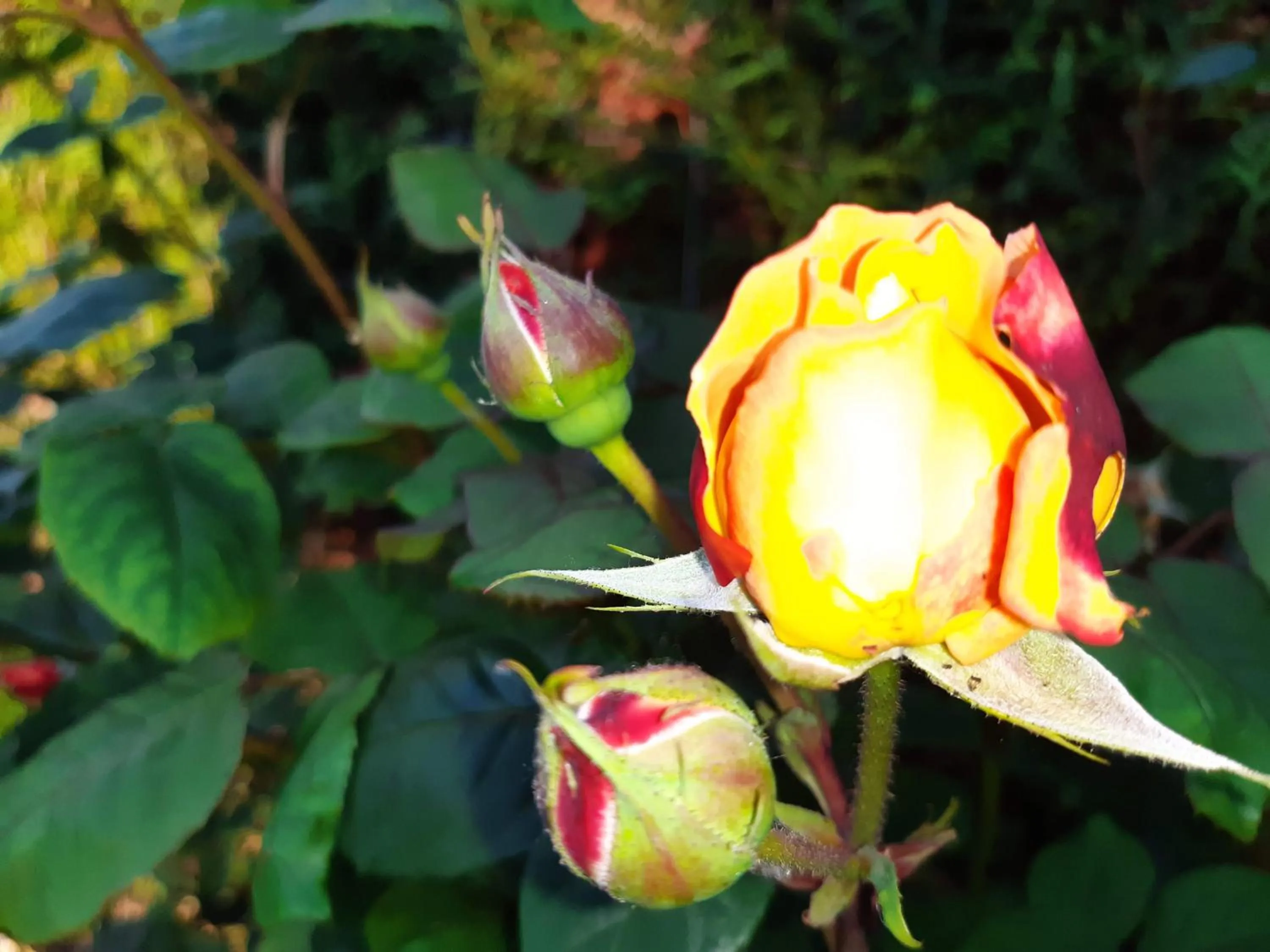 Property building in B&B Lora