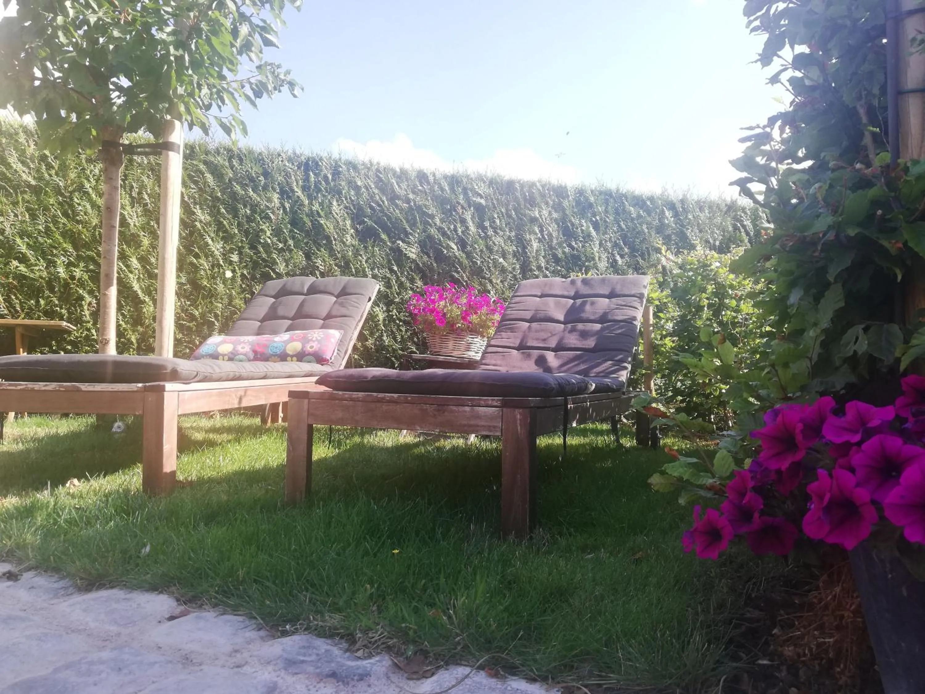 Property building in B&B Lora