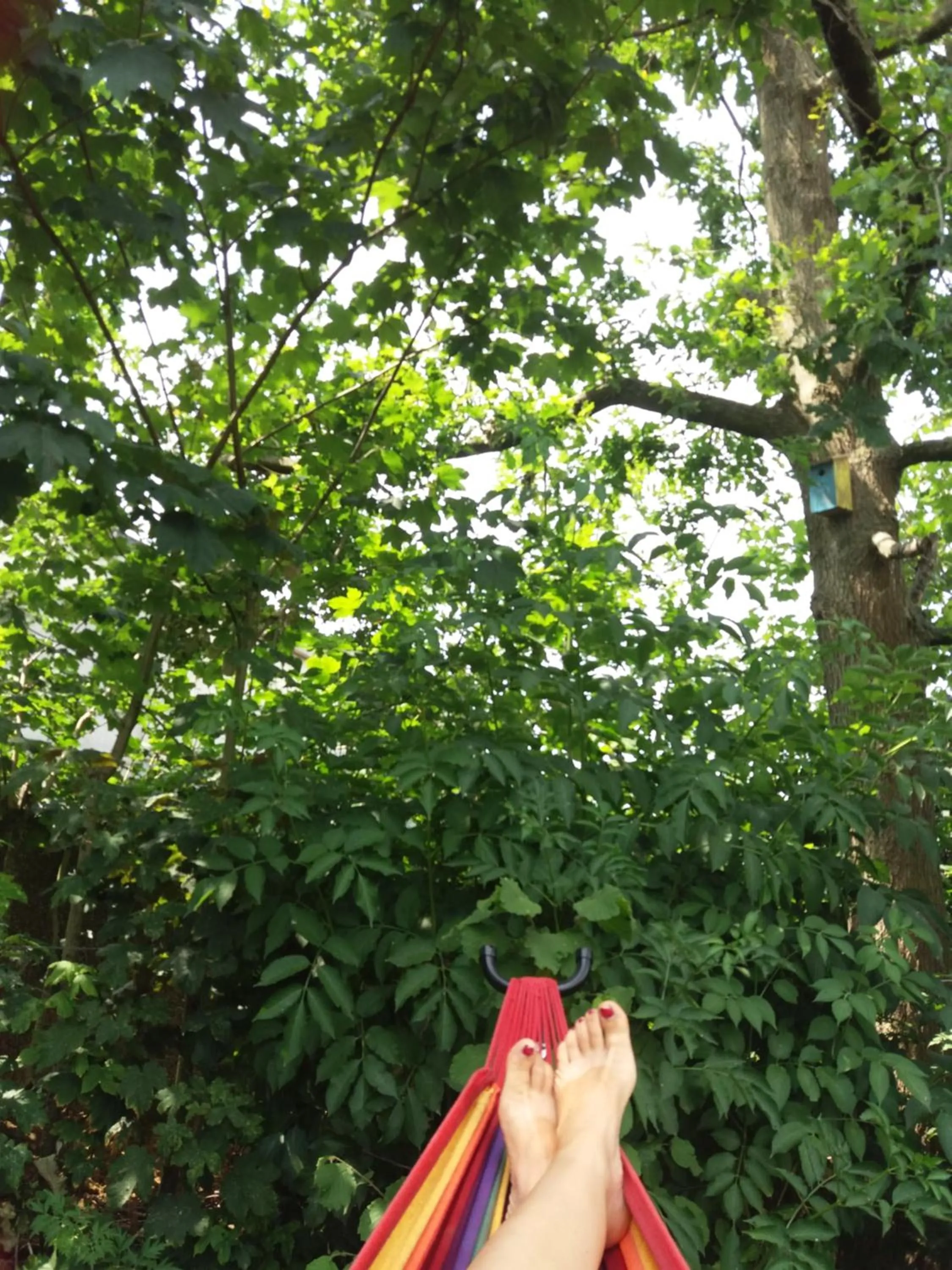 Property building in B&B Lora