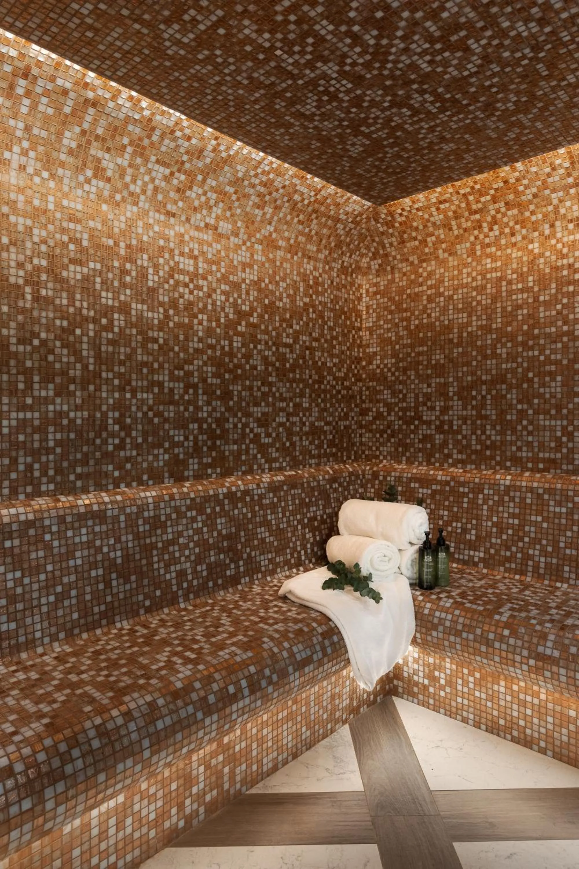 Steam room in Schloßhotel Althörnitz Neubau