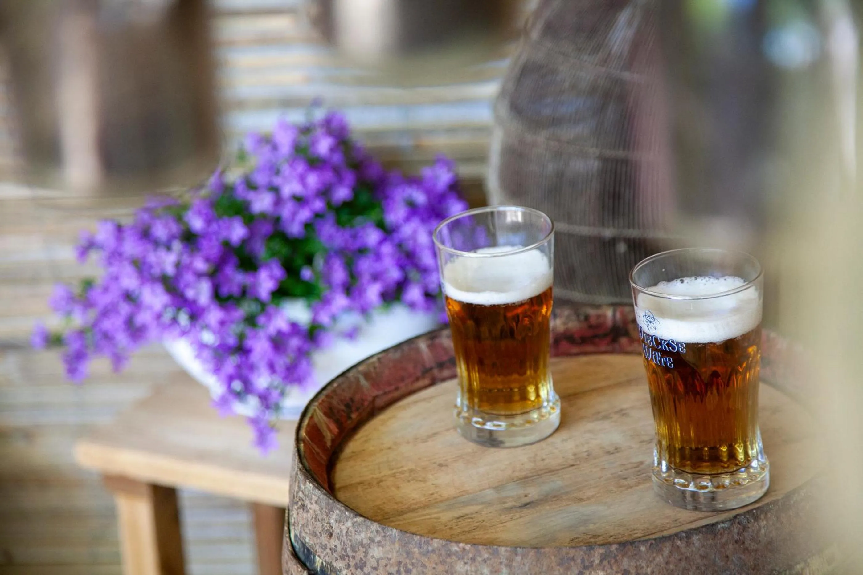 O'Myosotis - 400m Centre Historique - Parking Gratuit - Piscine et Jardin