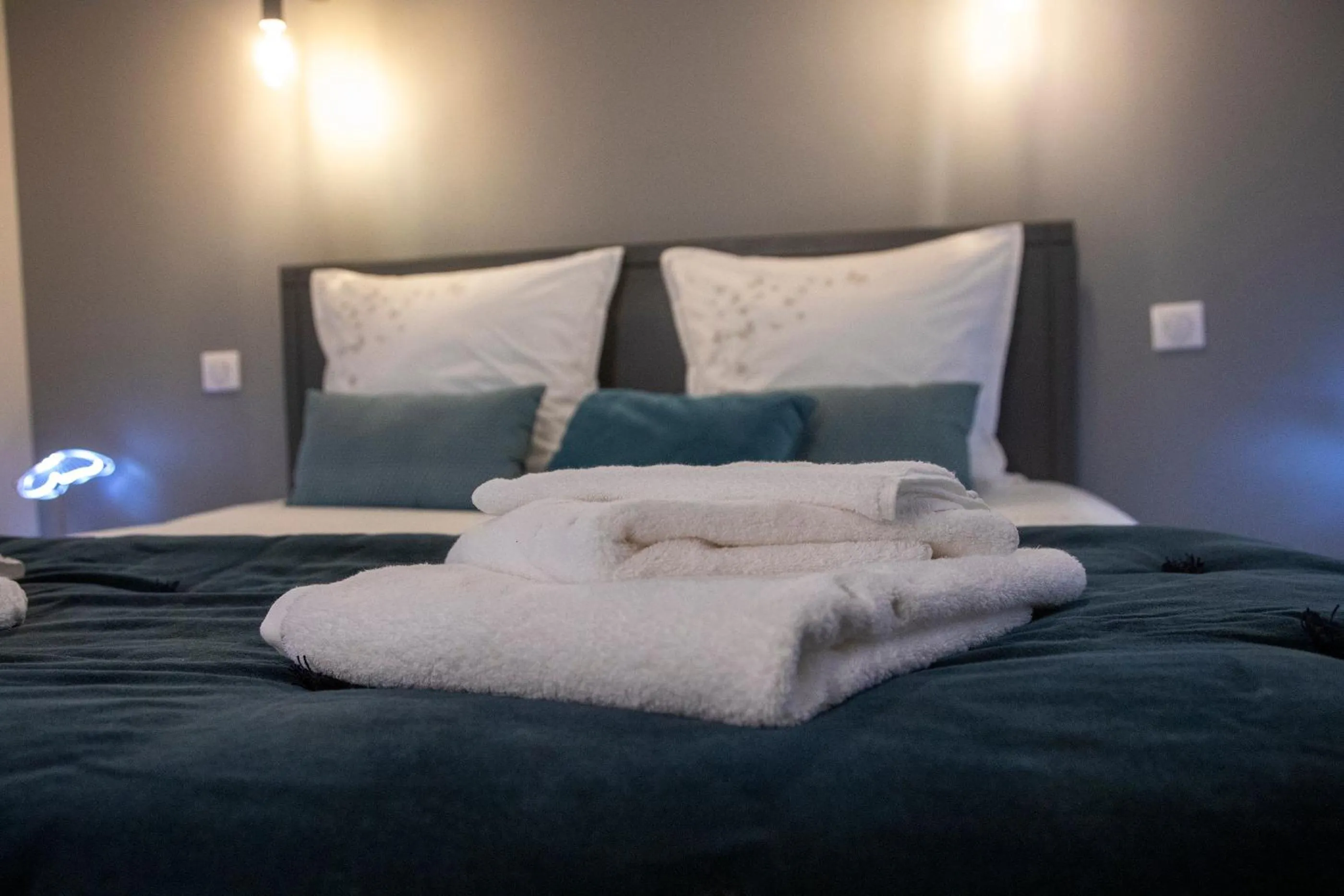 Bed in O'Myosotis - 400m Centre Historique - Parking Gratuit - Piscine et Jardin