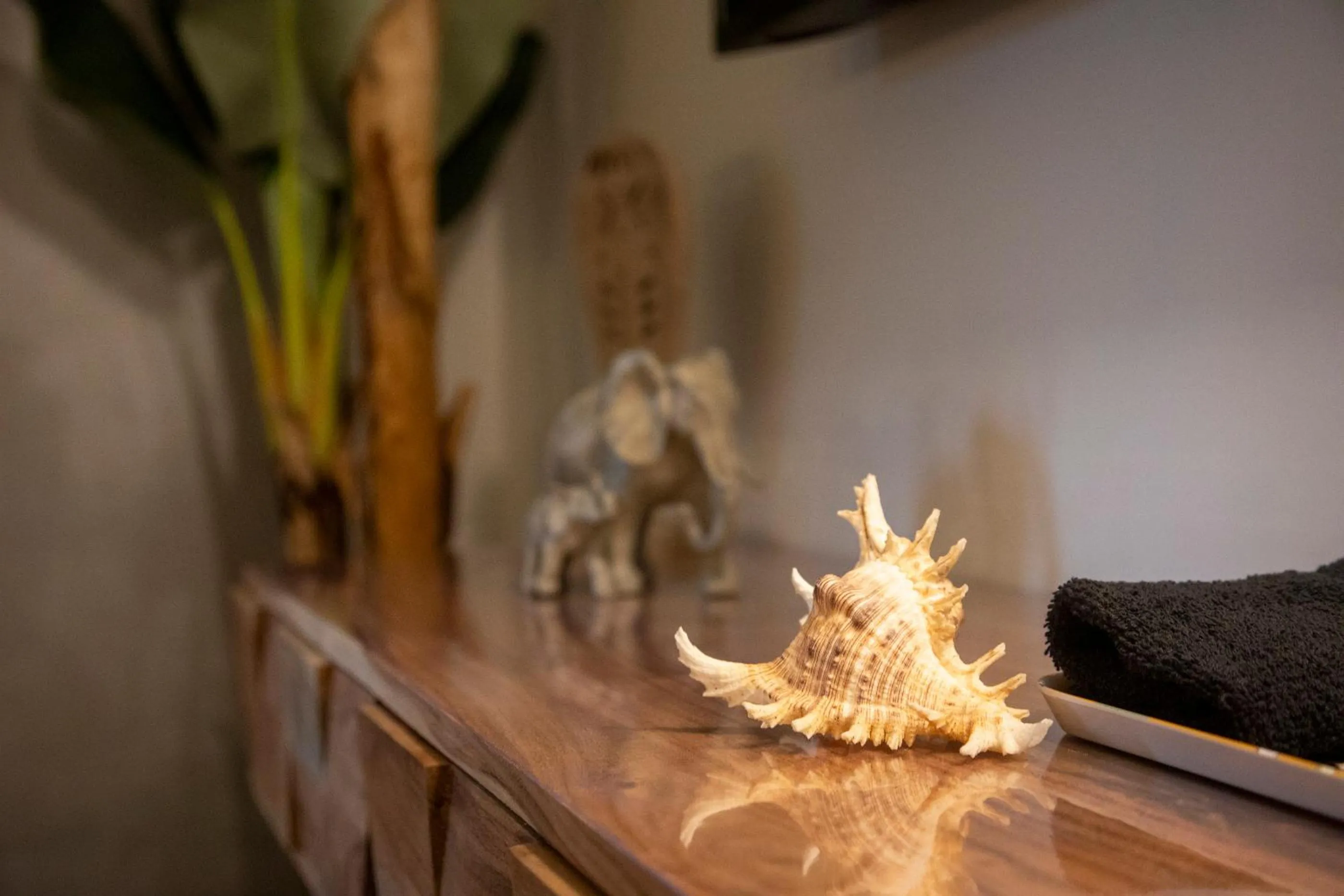 O'Myosotis - 400m Centre Historique - Parking Gratuit - Piscine et Jardin