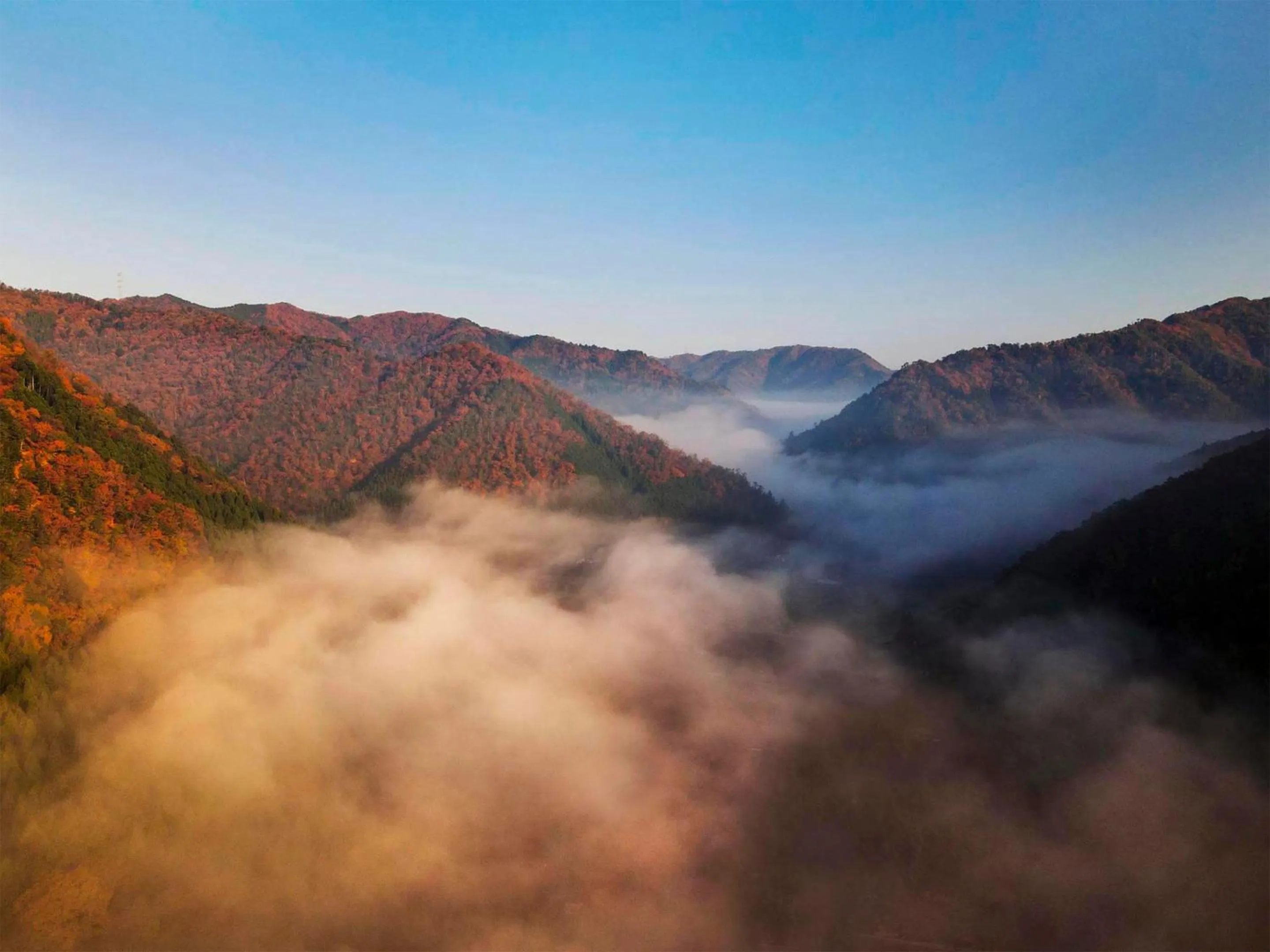 Natural landscape in Casa Miyama