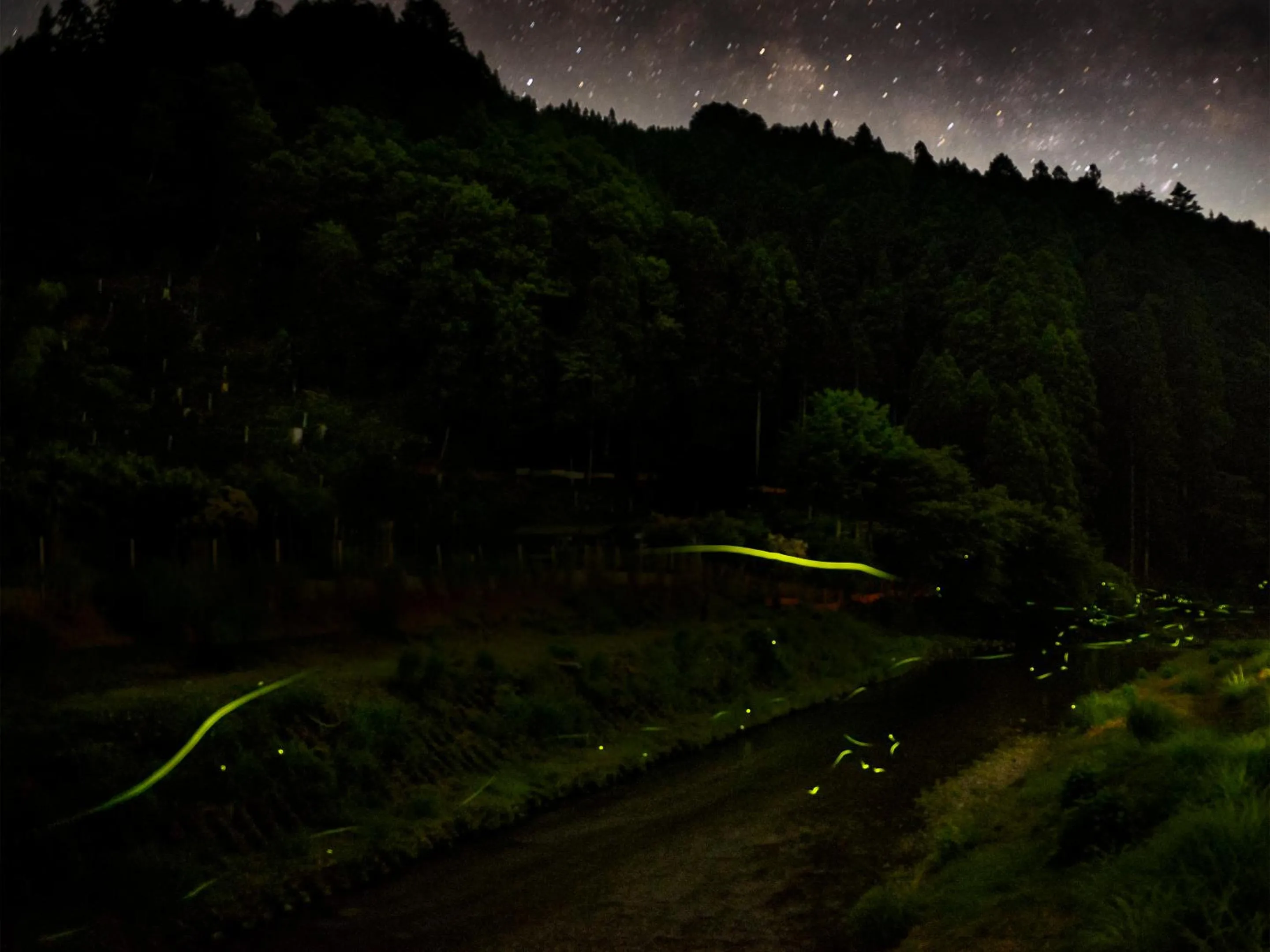 Natural landscape in Casa Miyama