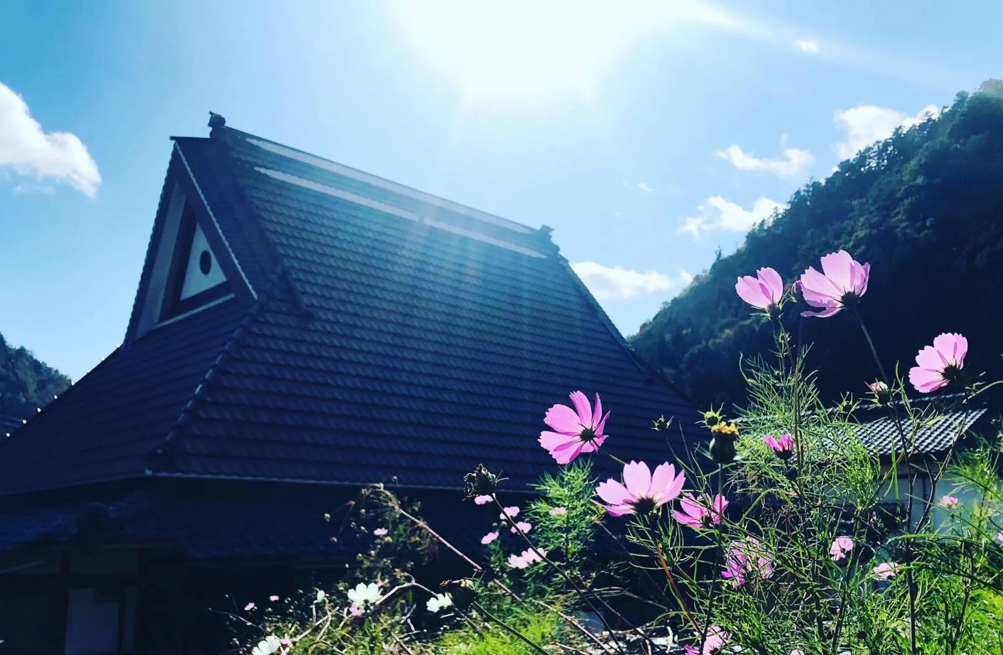 Property building in Casa Miyama