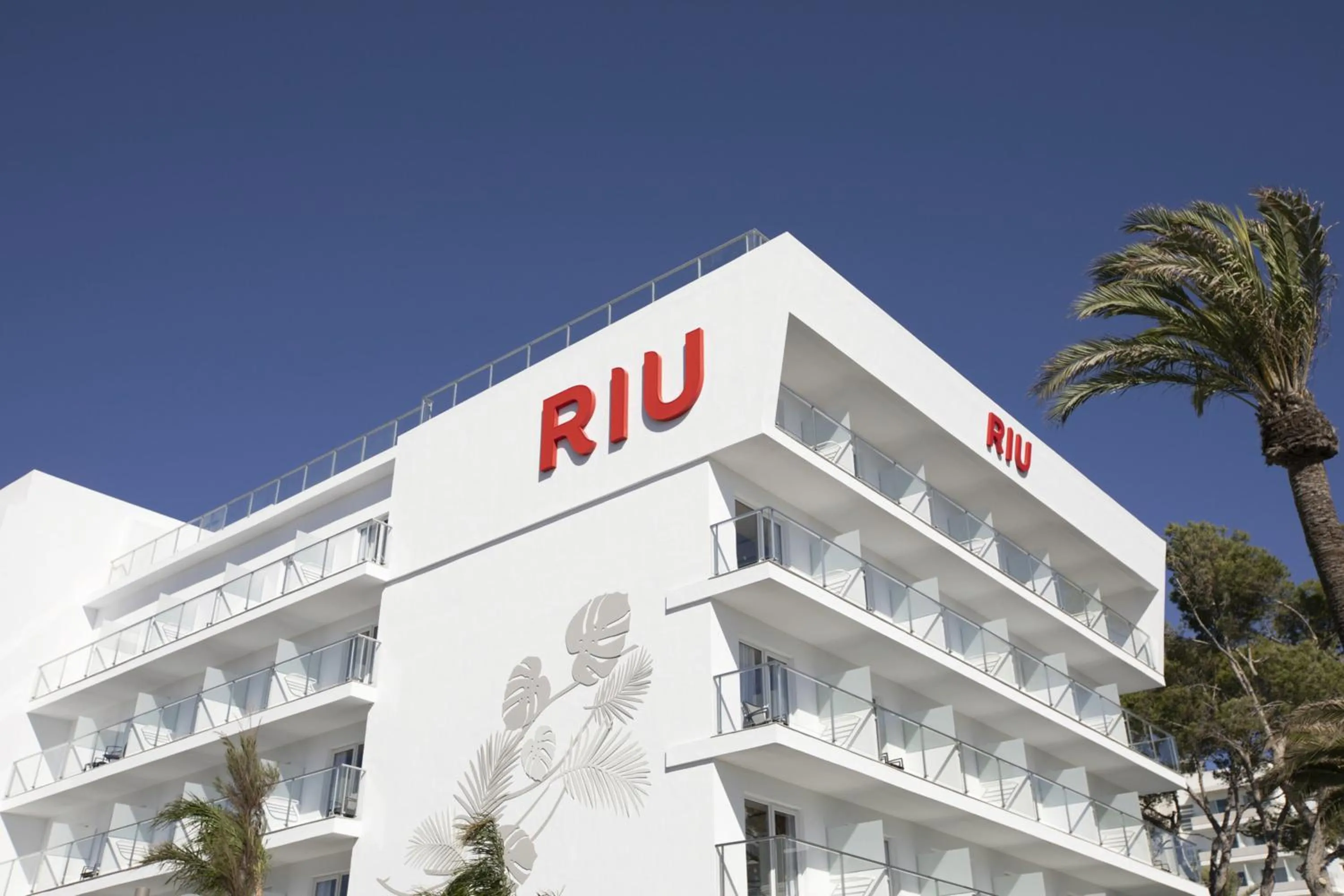 Property building in Hotel Riu Concordia