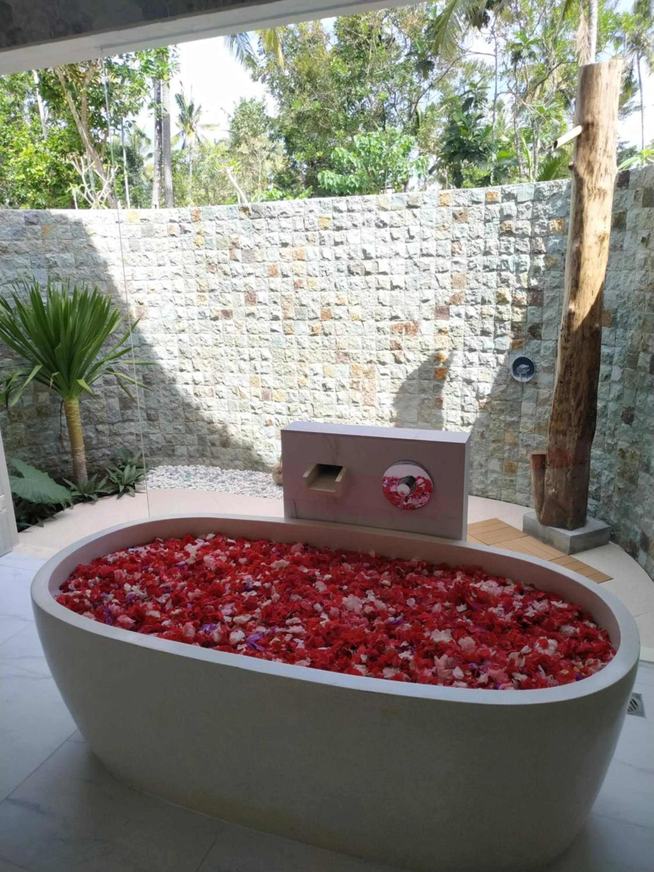 Hot Tub in Palmterrace