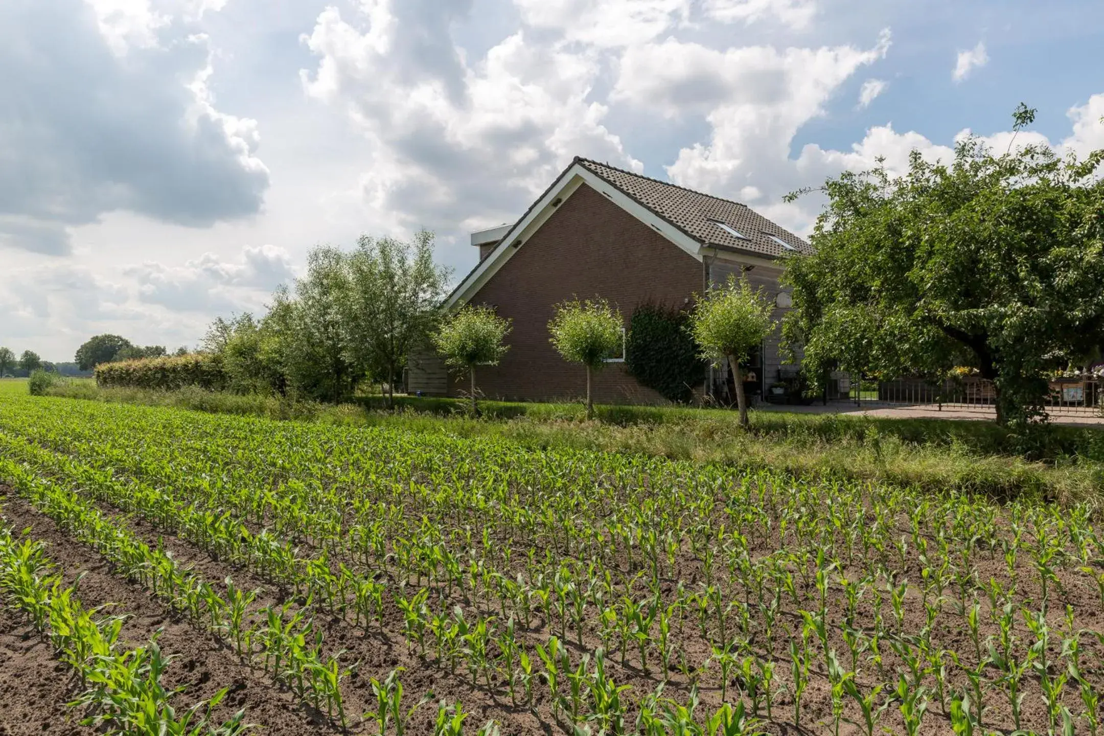 De Nieuwe Warande De Nieuwe Warande